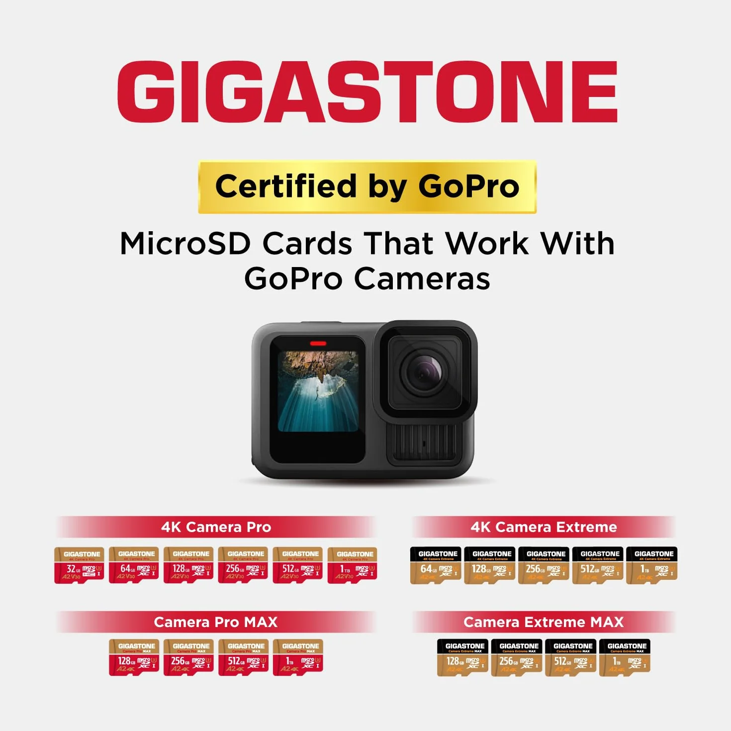 【Recupero dati gratuito per 5 anni】GIGASTONE 256 GB Scheda di Memoria, Camera Pro, Velocità fino a 100/60 MB/s, per Gopro, DJI, Insta360, 4K Video, A2 V30 U3 MicroSDXC con Adattatore