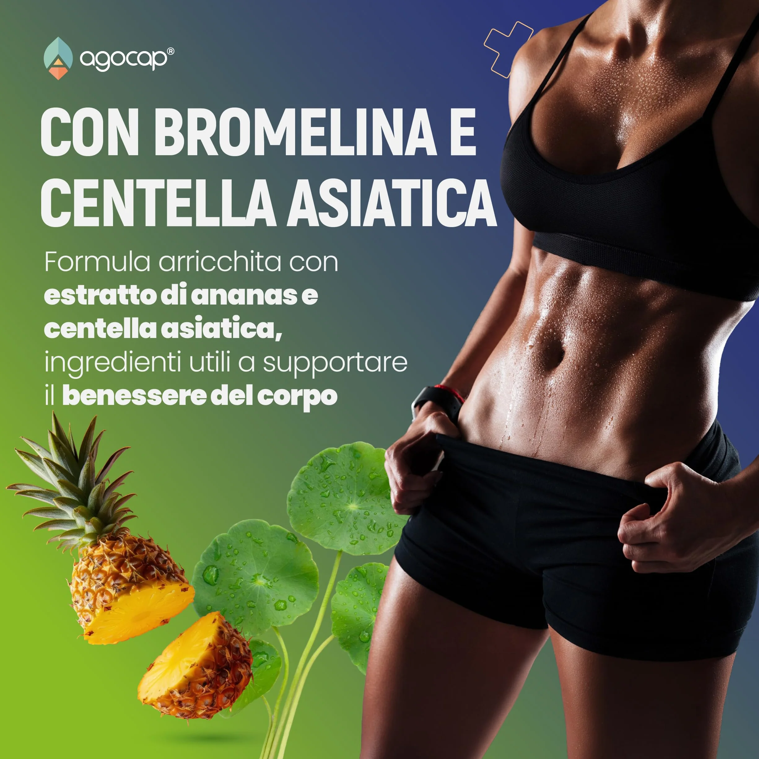 Integratore Alimentare Liquido Pilosella Tarassaco Bromelina Centella Asiatica 15 Estratti Naturali 500 ml Gusto Pesca