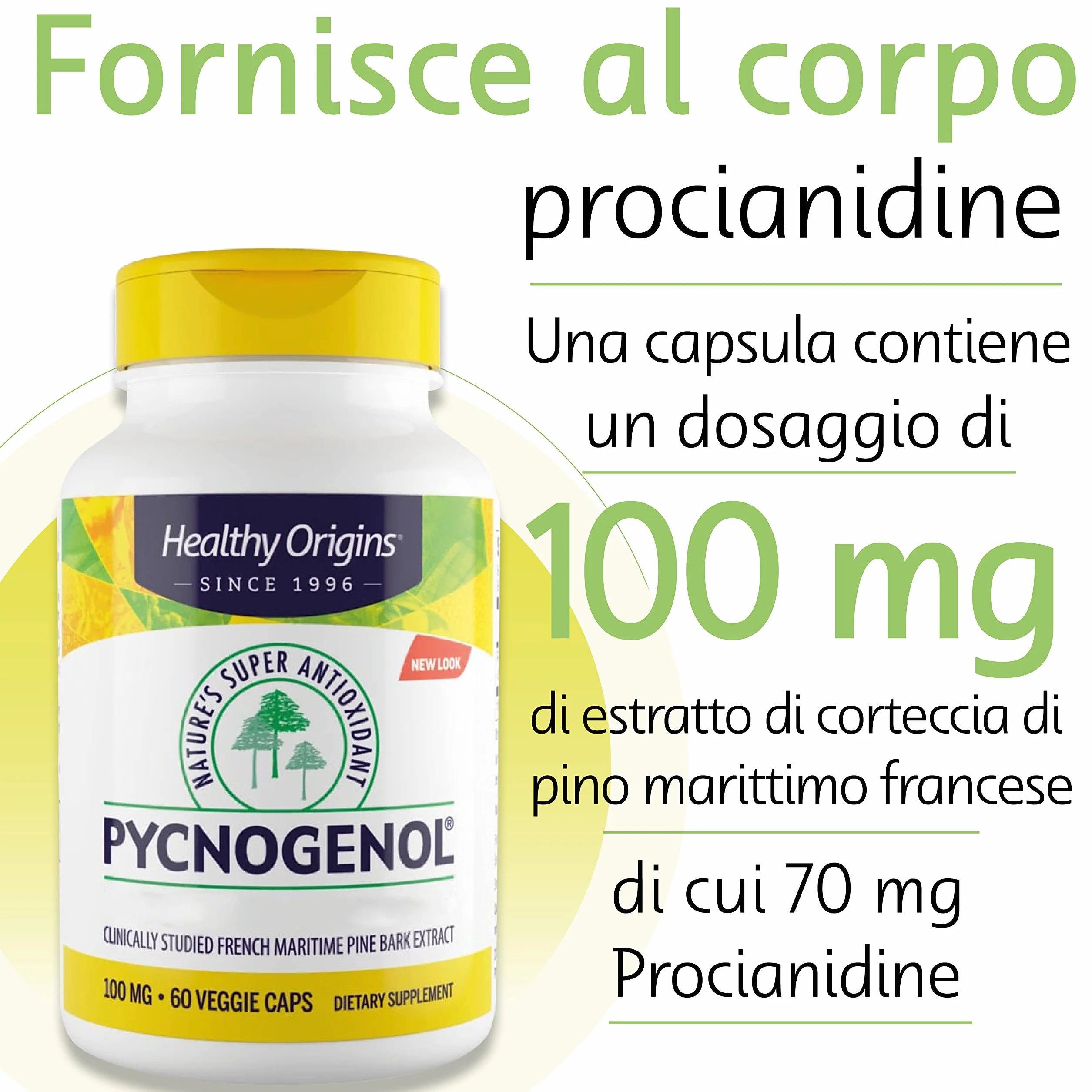 Healthy Origins Pycnogenol 100 mg 60 Capsule Vegane Pino Marino Senza Glutine