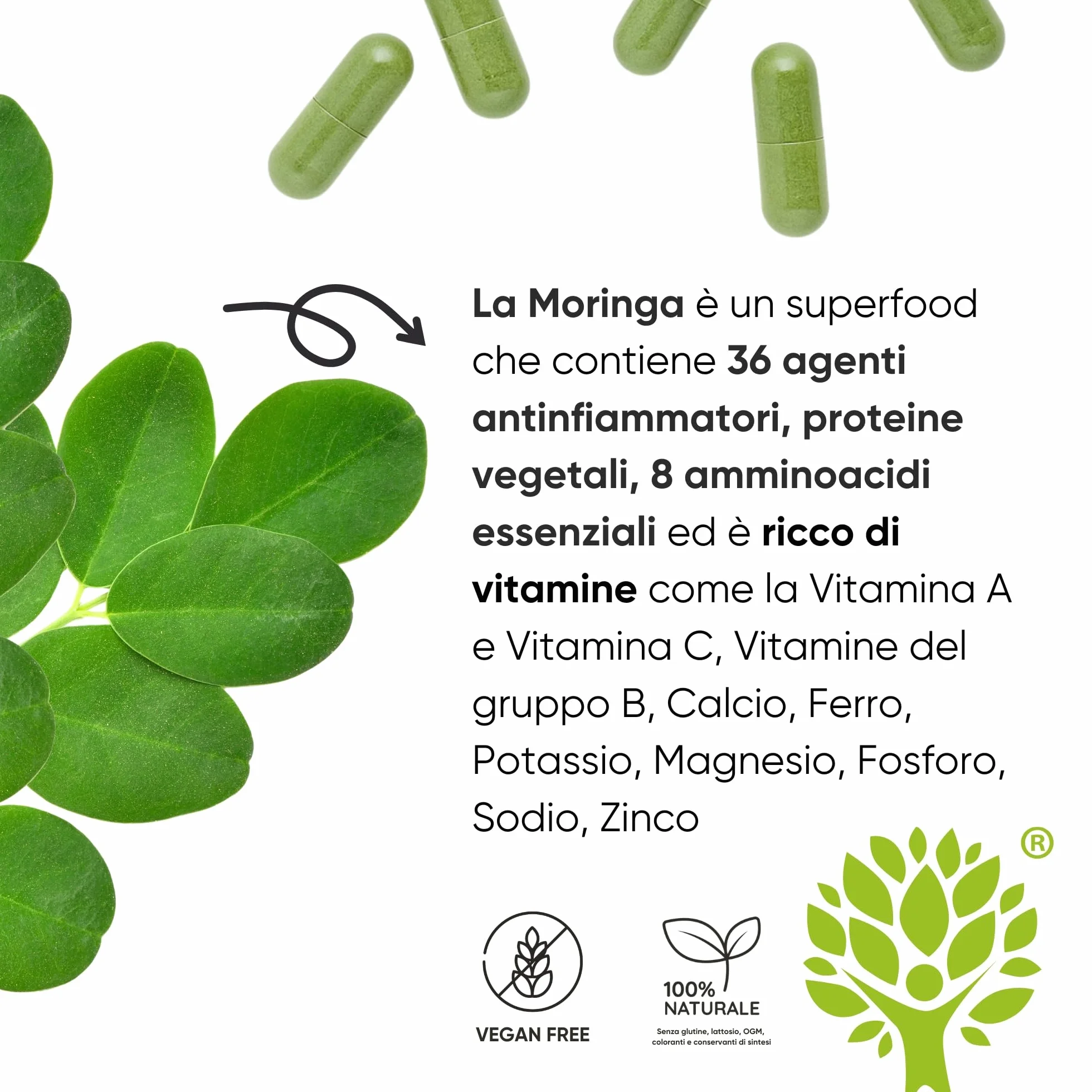 Integratore Moringa Oleifera Biologica 100% Naturale Capsule Vegetali 90 Capsule Made in Italy