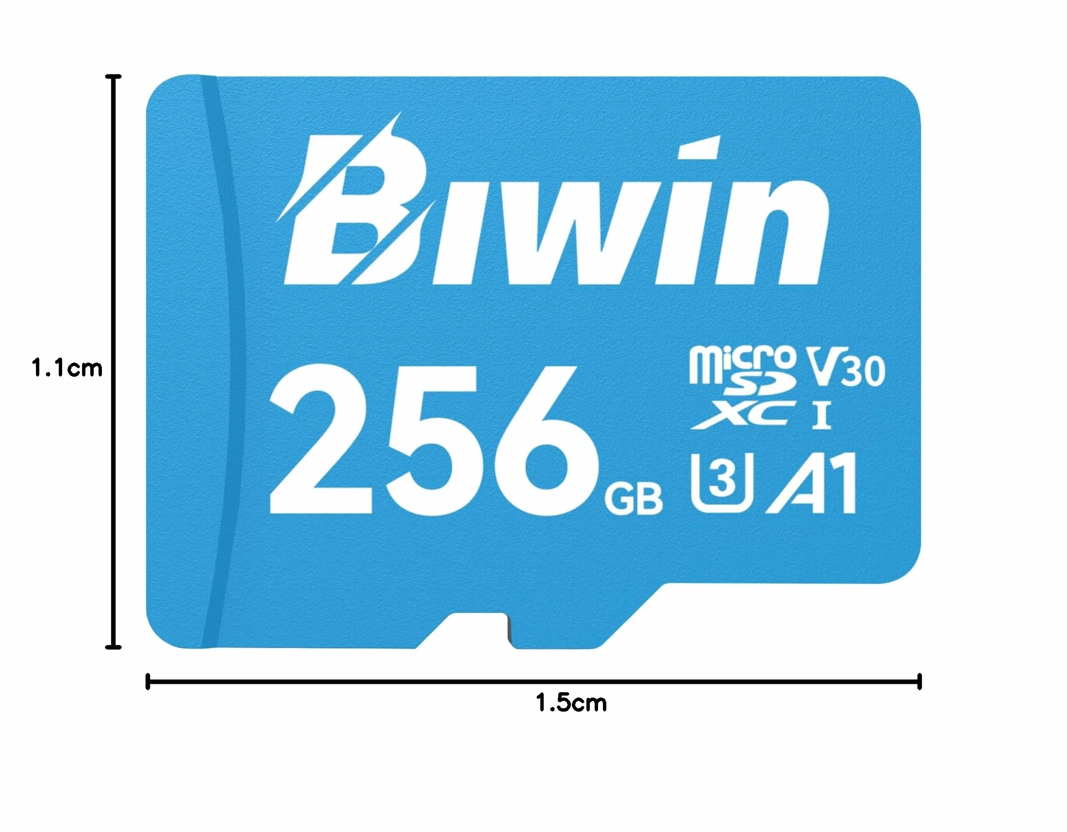 Biwin Scheda di memoria MS100 MicroSDXC UHS-I 256 GB – Lettura fino a 160 MB/s – A1 V30 U3 4K UHD video per la registrazione video di smartphone/tablet/fotocamera digitale Canon Sony