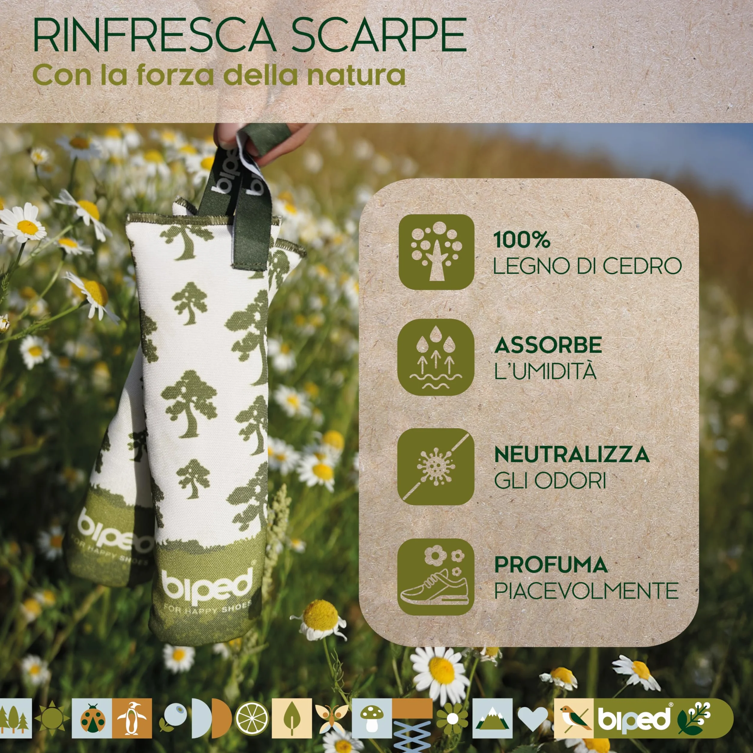 Cedro naturale asciuga scarpe in legno 1 paio cuscinetti deodoranti senza sostanze chimiche