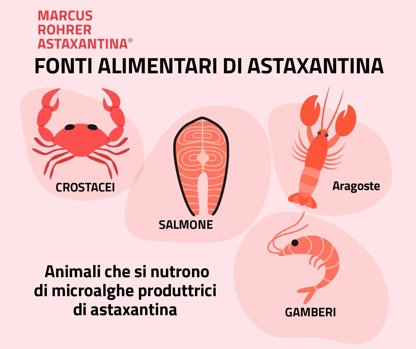 Marcus Rohrer Astaxantina Integratore Alimentare Antiossidante Protezione UV 30 Softgel