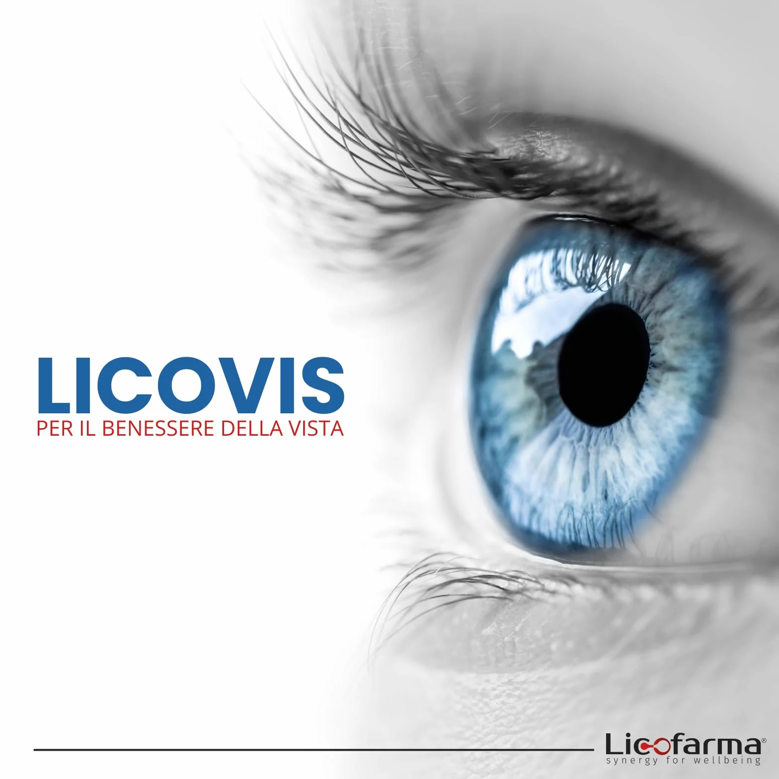 Licovis Integratore Benessere Vista e Occhi Luteina Zeaxantina Licopene Resveratrolo Vitamine Zinco 60 Capsule
