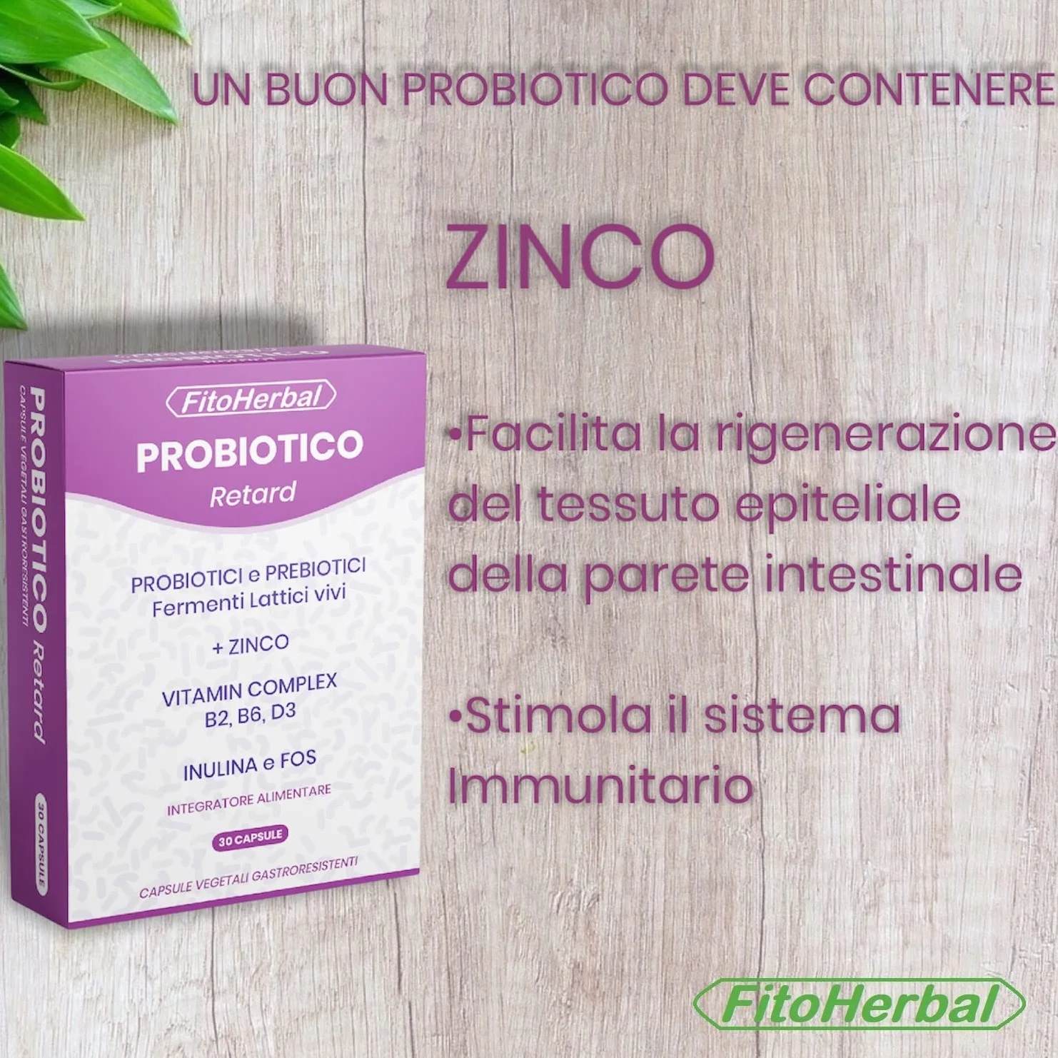 Fermenti Lattici Probiotici e Prebiotici 40 miliardi CFU Lactobacillus Bifidobacterium Inulina Zinco Vitamine B2 B6 D3 Capsule Gastroresistenti