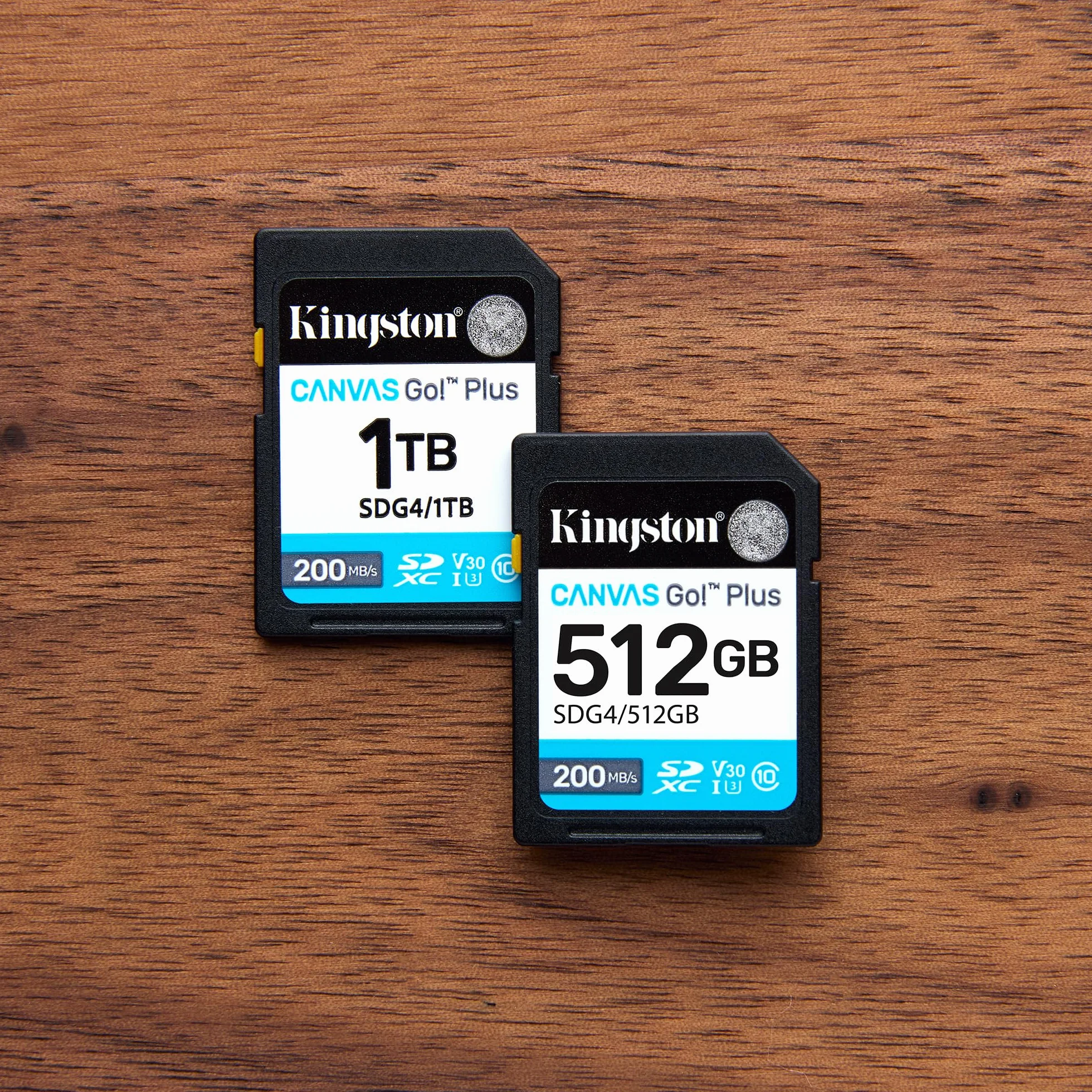 Kingston Canvas Go Plus SDXC Scheda Di Memoria Gen4 200MB/s C10 UHS-I U3 V30 128GB-SDG4/128GB