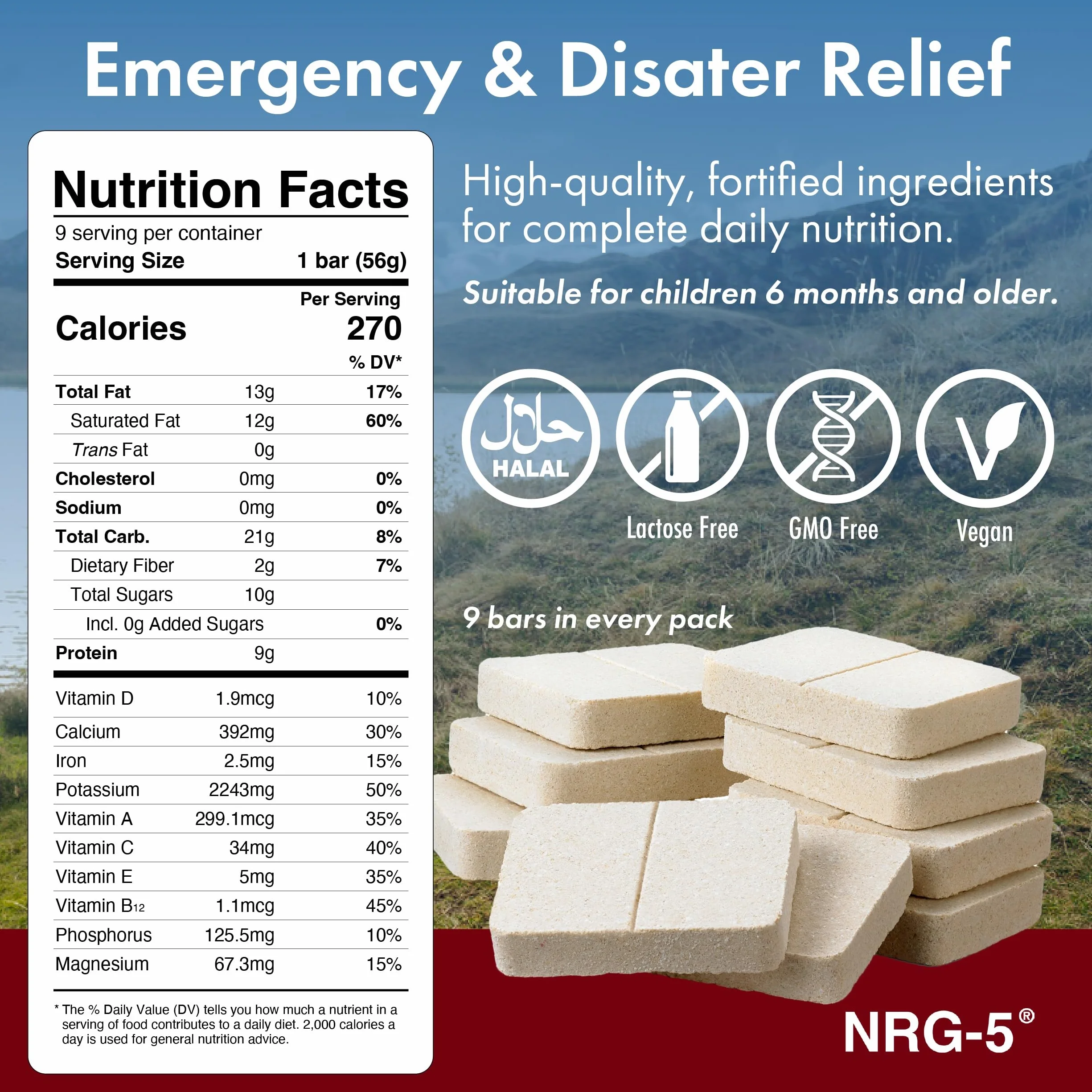 Katadyn NRG-5 Razione alimentare di emergenza 500 g 9 barrette 2380 kcal vegana senza lattosio senza OGM