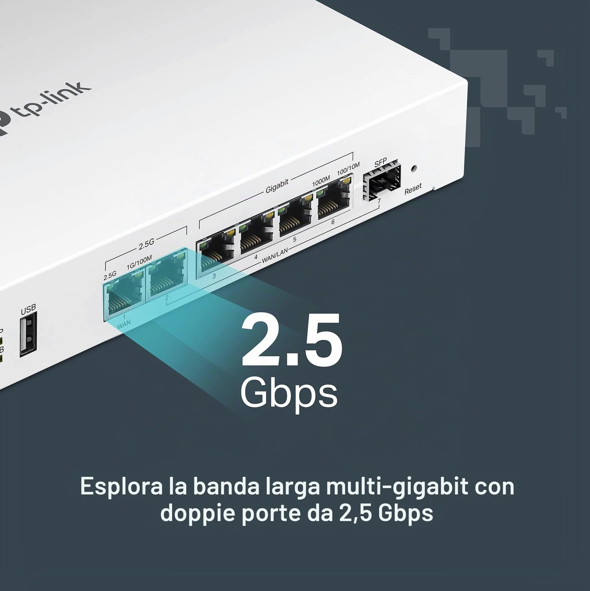 TP-Link Festa FR307-M2 | Gateway router cablato VPN multi-Gigabit | 2 * 2.5G + 5 * Gigabit + 1 * WAN USB | Rete auto-organizzante | Cloud gratuito | Bilanciamento del carico | IPSec/PPTP/L2TP/OpenVPN
