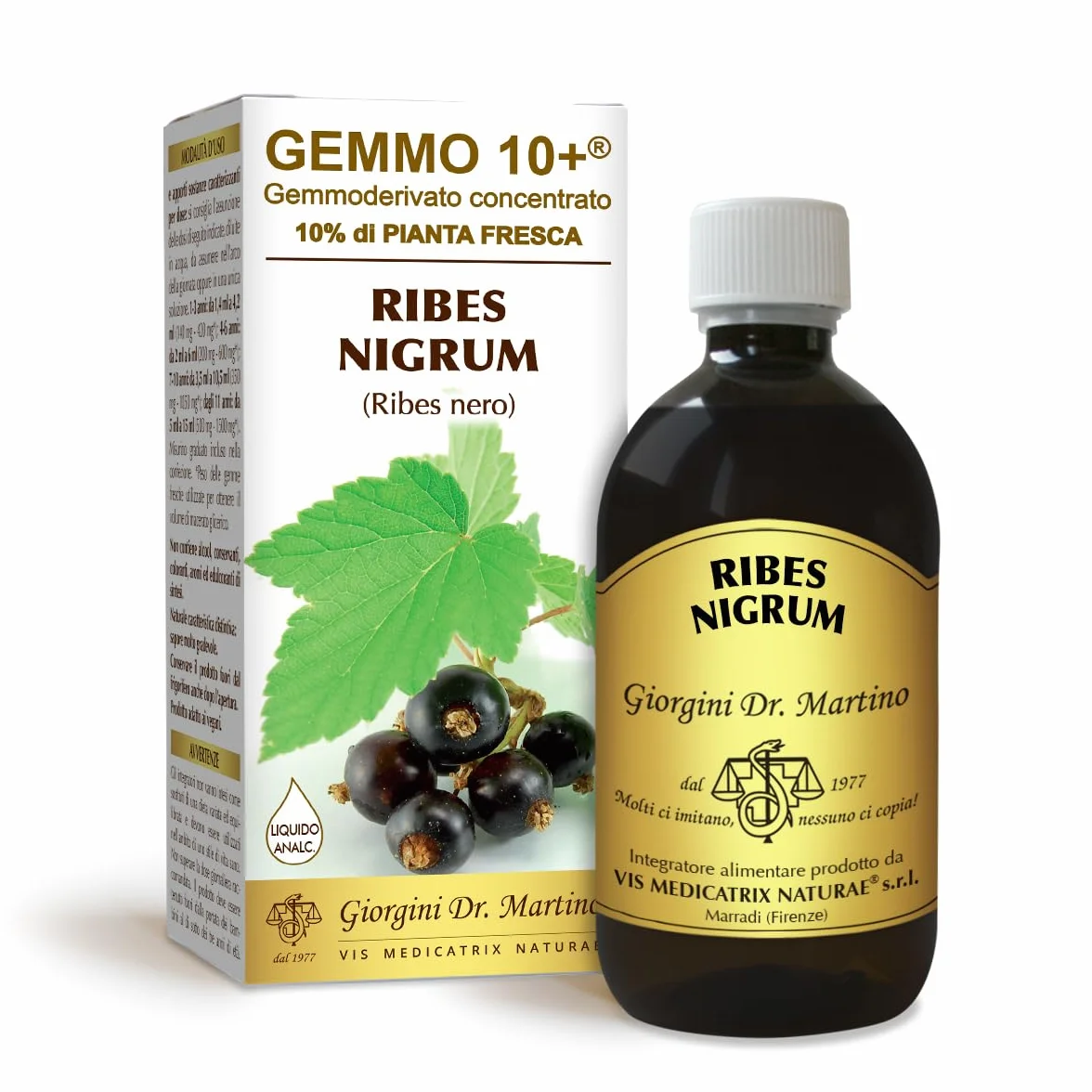 Dr Giorgini RIBES NERO Gemmoderivato Concentrato Liquido Analcoolico 500 Millilitri