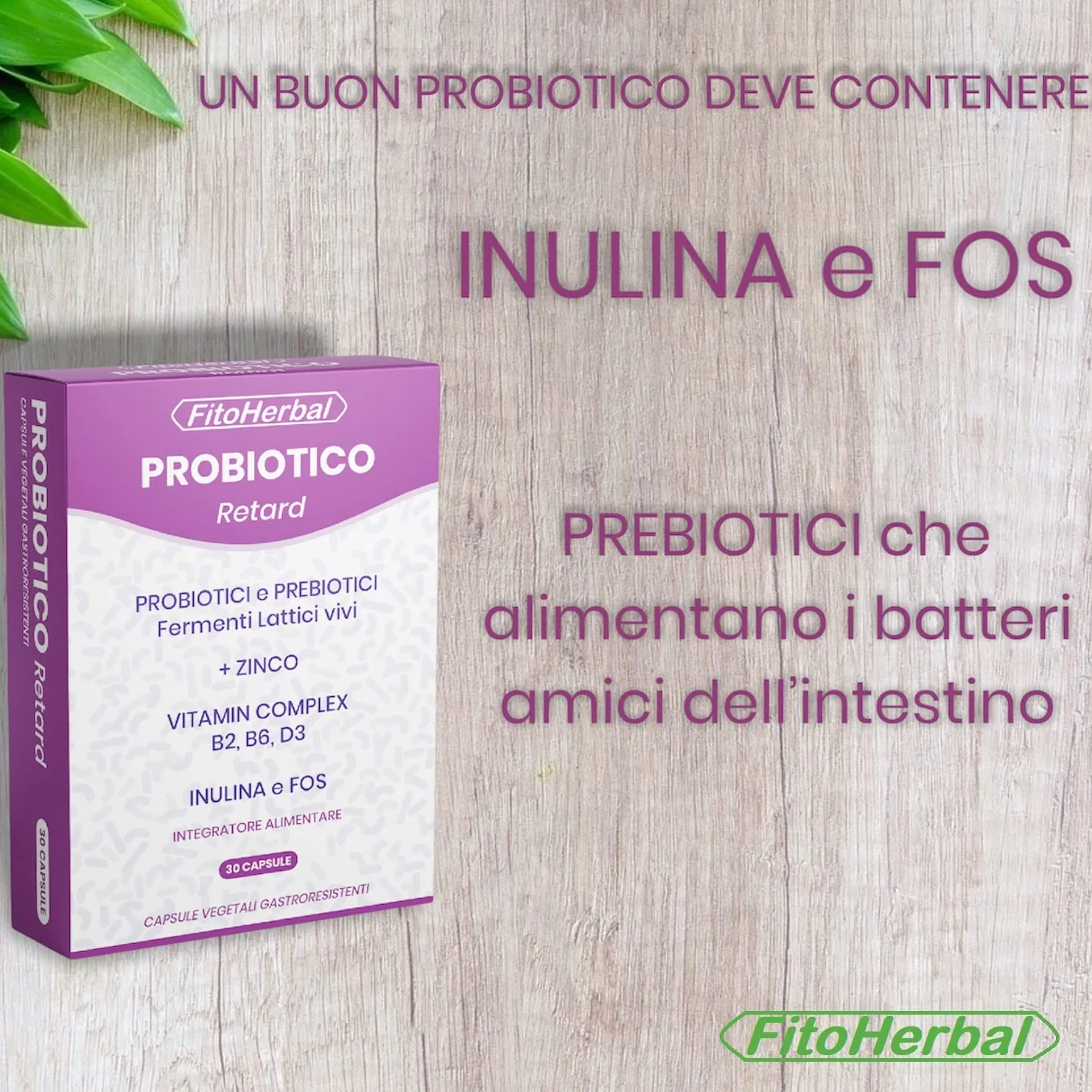 Fermenti Lattici Probiotici e Prebiotici 40 miliardi CFU Lactobacillus Bifidobacterium Inulina Zinco Vitamine B2 B6 D3 Capsule Gastroresistenti