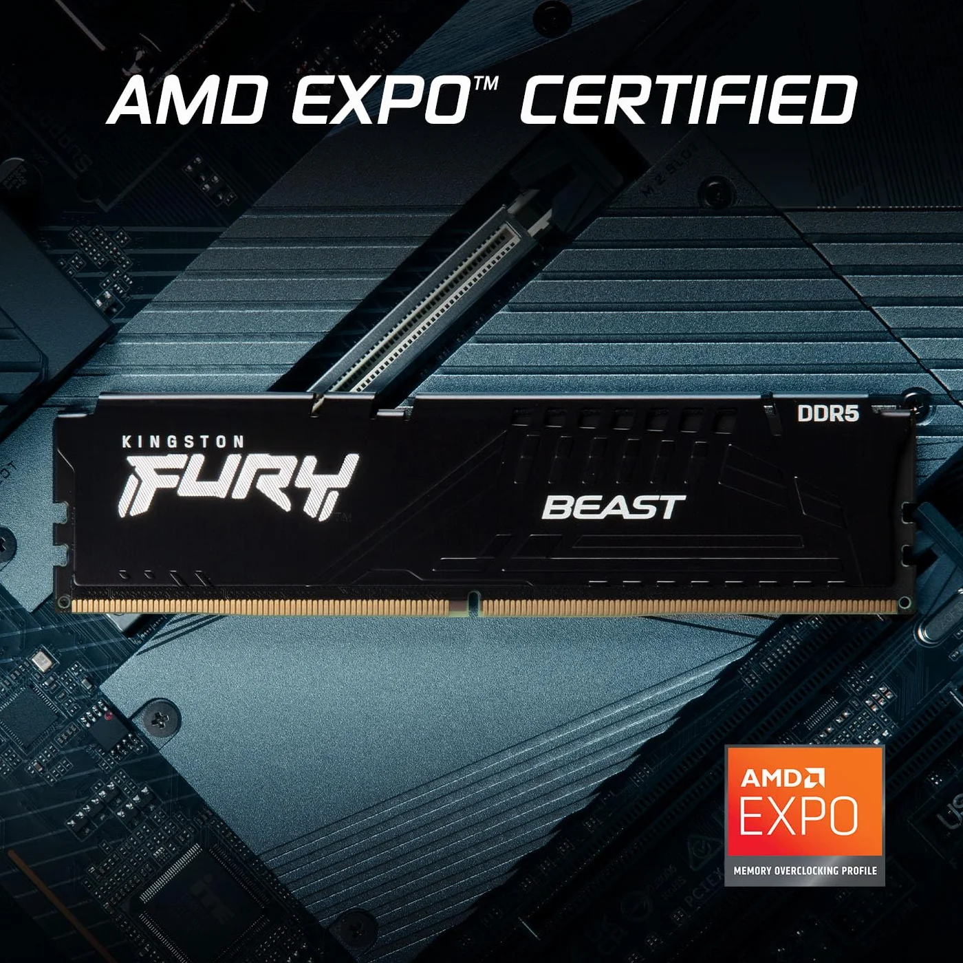 Kingston FURY Beast Nero DDR5 32GB (2x16GB) 6000MT/s CL30 DIMM Memoria Gaming per Computer Fissi Kit da 2 AMD EXPO e Intel XMP - KF560C30BBEK2-32