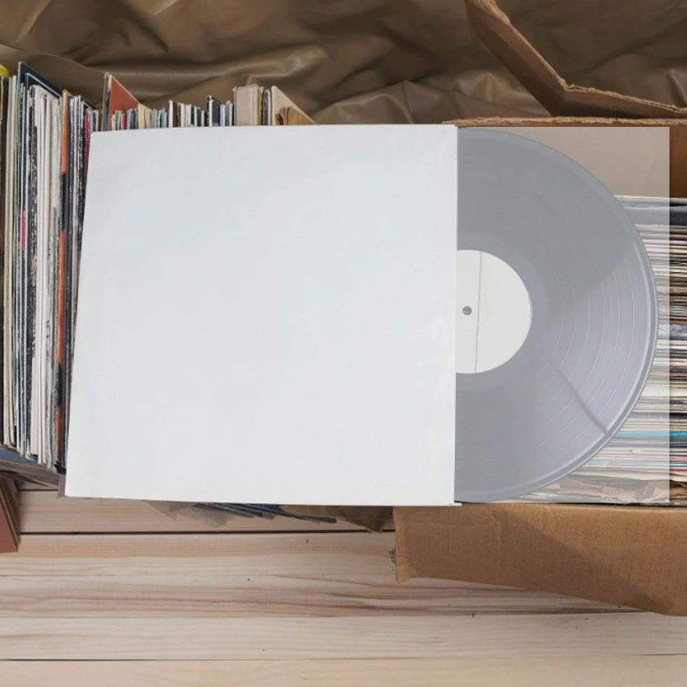100 Pz Buste per Vinile, 12" Buste per Dischi in Vinile Buste Interne in Vinile Busta Busta Transparenti Vinili lp Busta Antistatiche per Dischi in Vinili Custodie per Dischi in Vinil