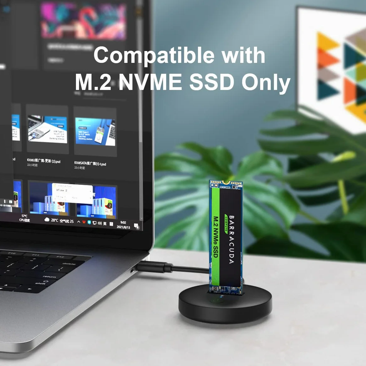 M.2 NVMe SSD Docking Station USB-C Reader USB 3.1 Gen2 10 Gbps Duplicator