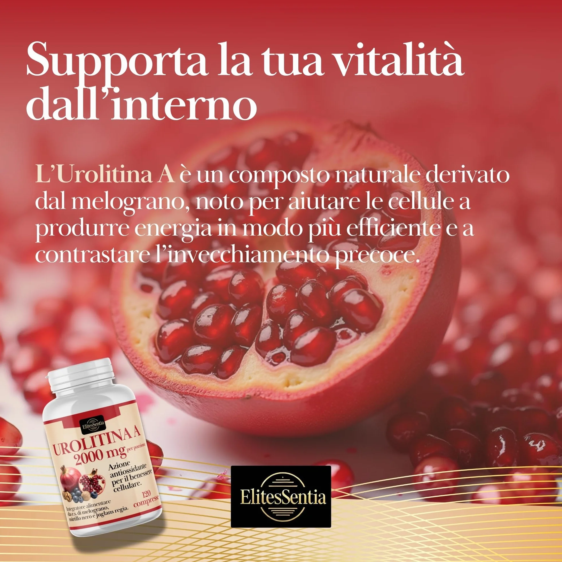 ElitesSentia Urolitina A Integratore 120 Compresse 2000 mg Melograno Juglans Regia Mirtillo Nero