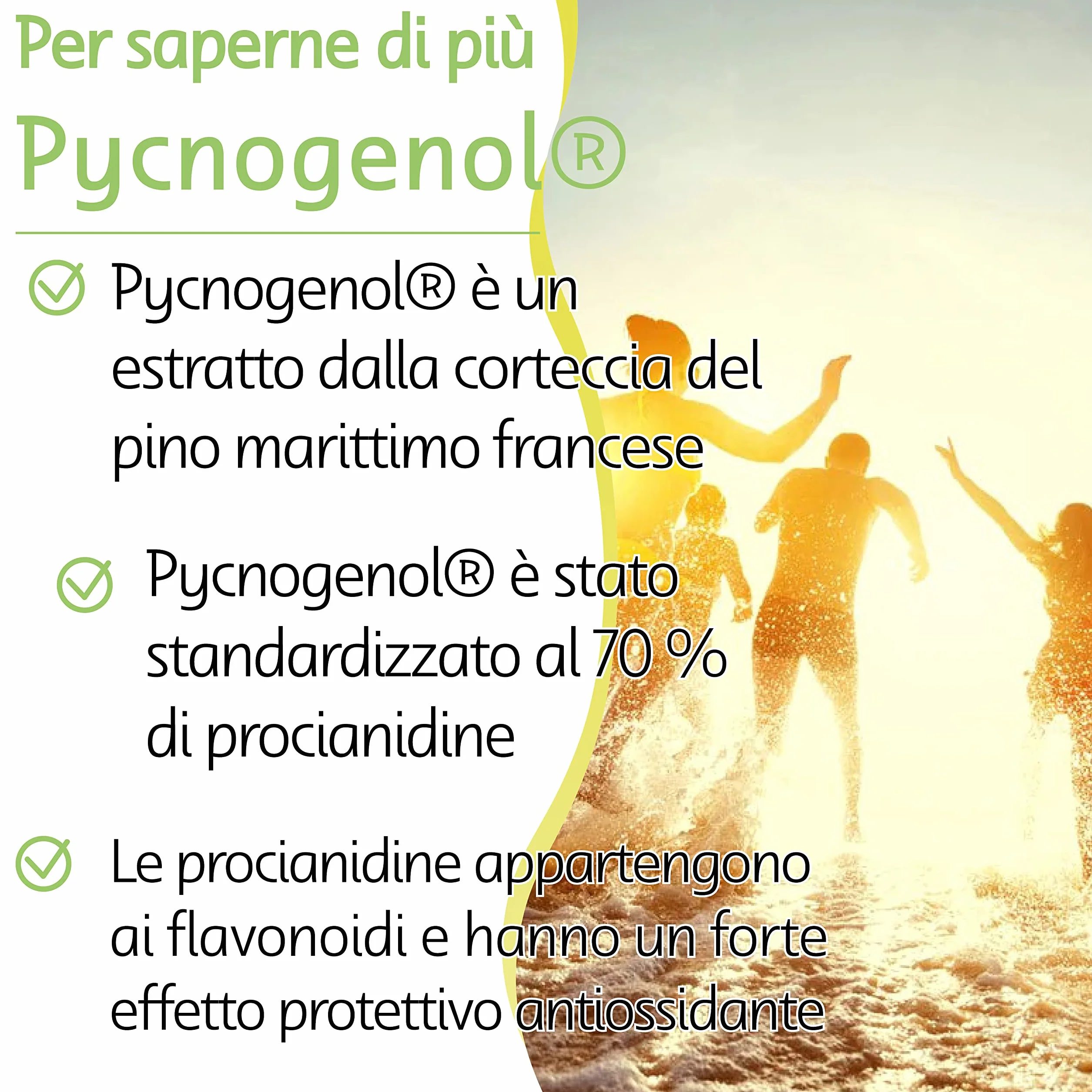 Healthy Origins Pycnogenol 100 mg 60 Capsule Vegane Pino Marino Senza Glutine