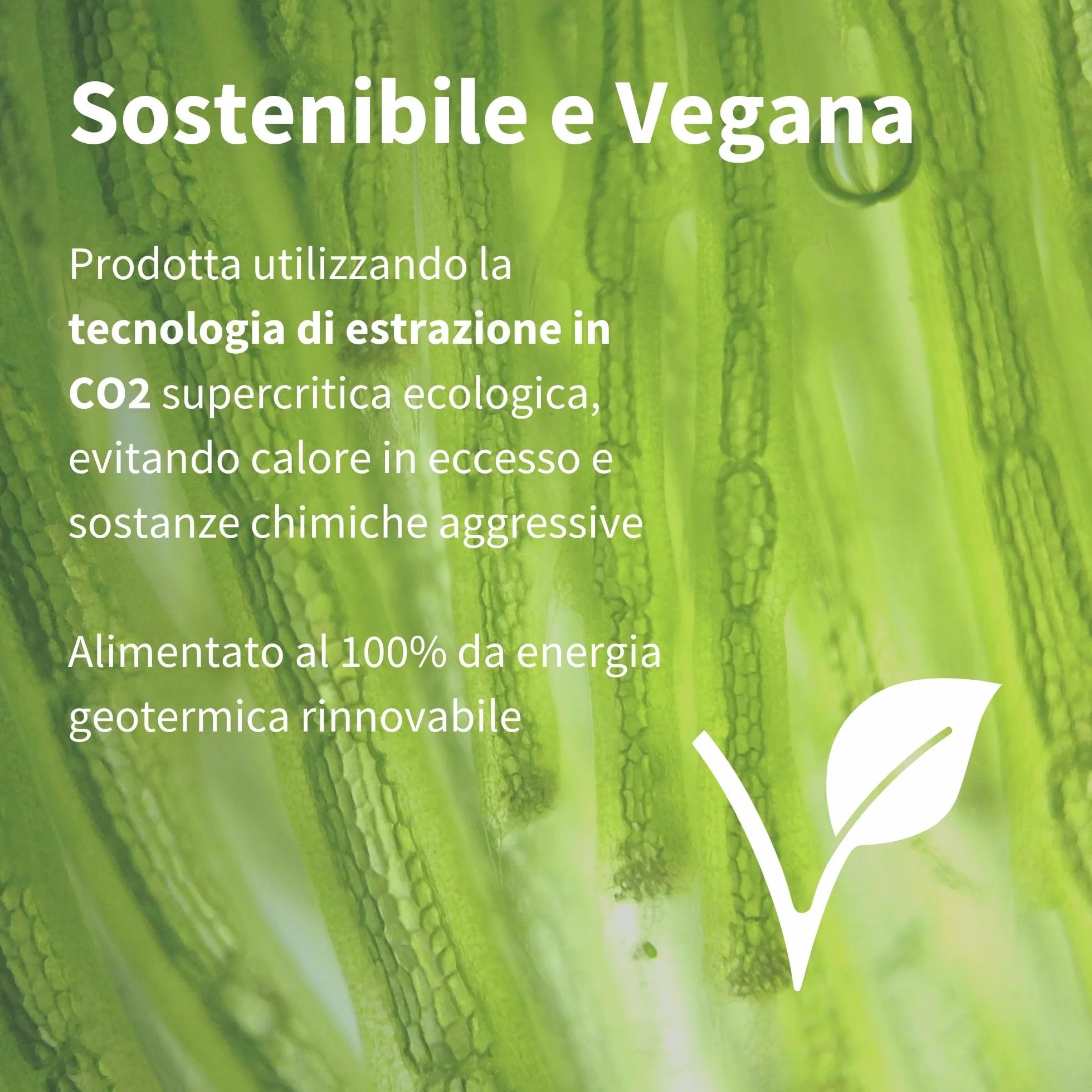 Igennus Astaxantina 4 mg Ultra Pura, Antiossidante Naturale, 90 Capsule Vegane, Integratore Vegano