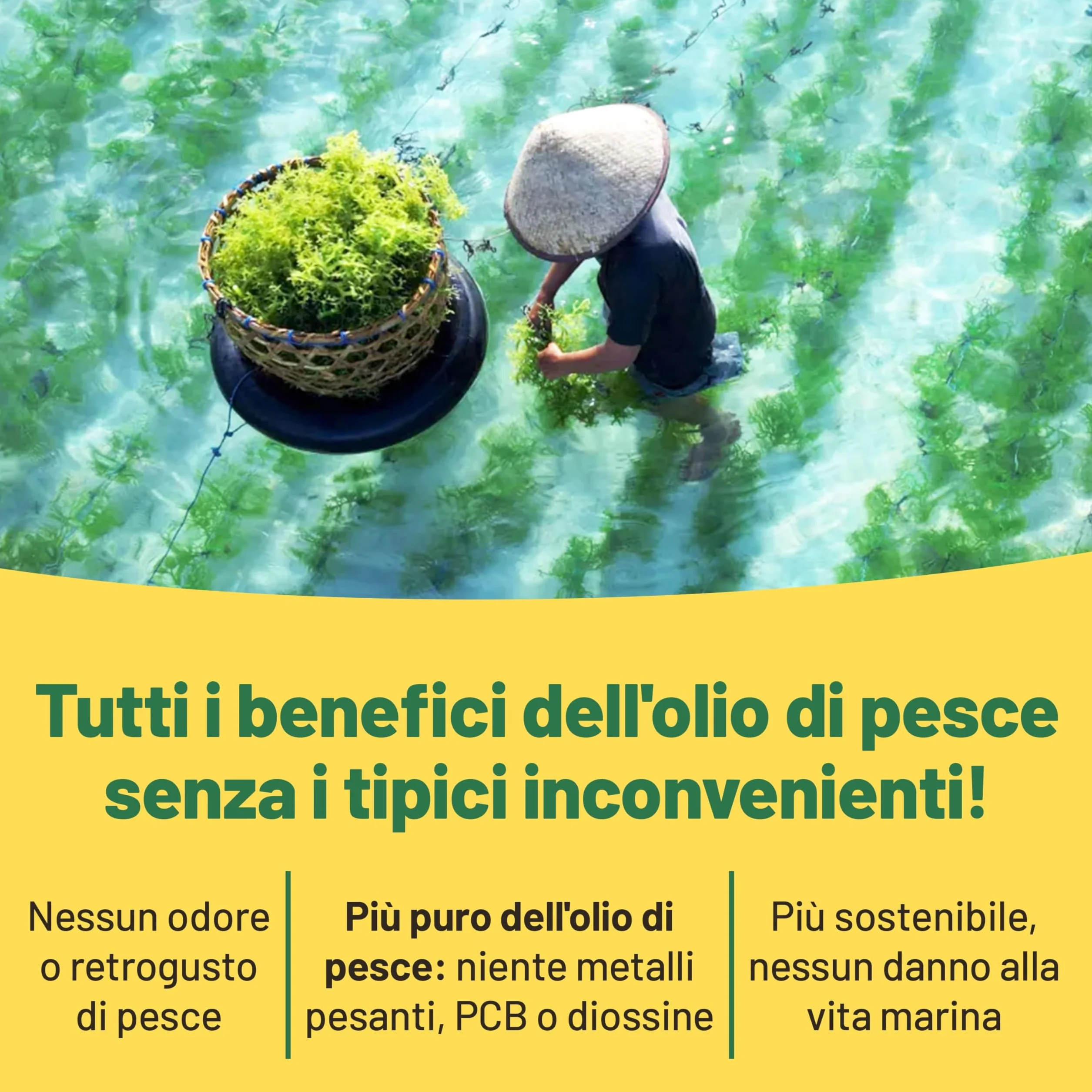 Omega 3 Vegan Olio di Alghe 400mg DHA 60 Capsule Integratore