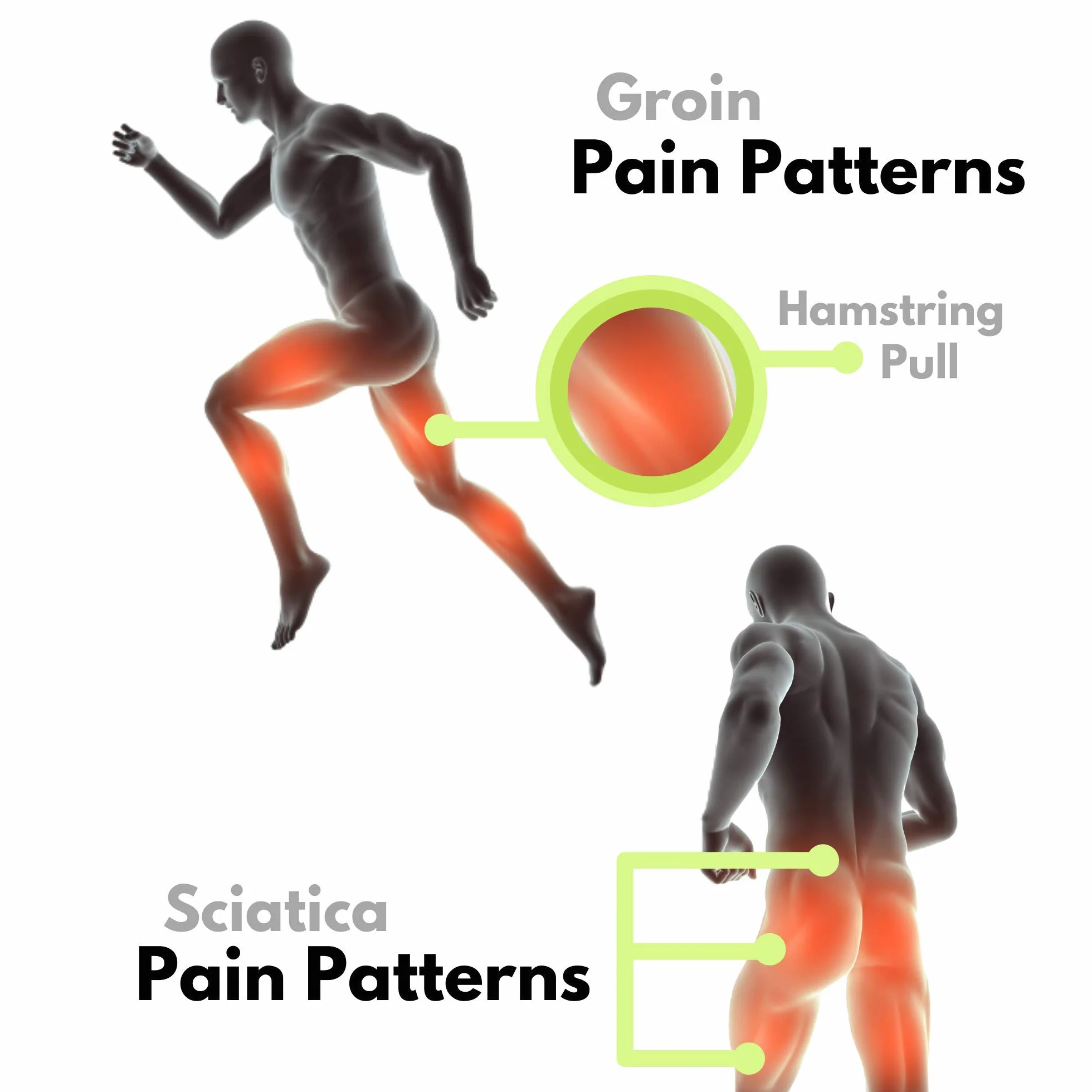 Bodyprox Groin Wrap, Supporto Regolabile per Dolore all'Anca, Coscia e Nervo Sciatico