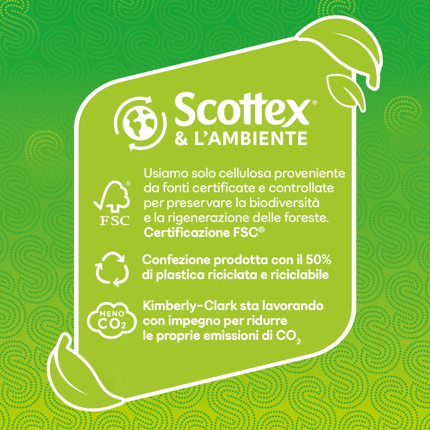Scottex Tutto Fare Carta Da Cucina Ultra Assorbente 6 Maxi Rotoli