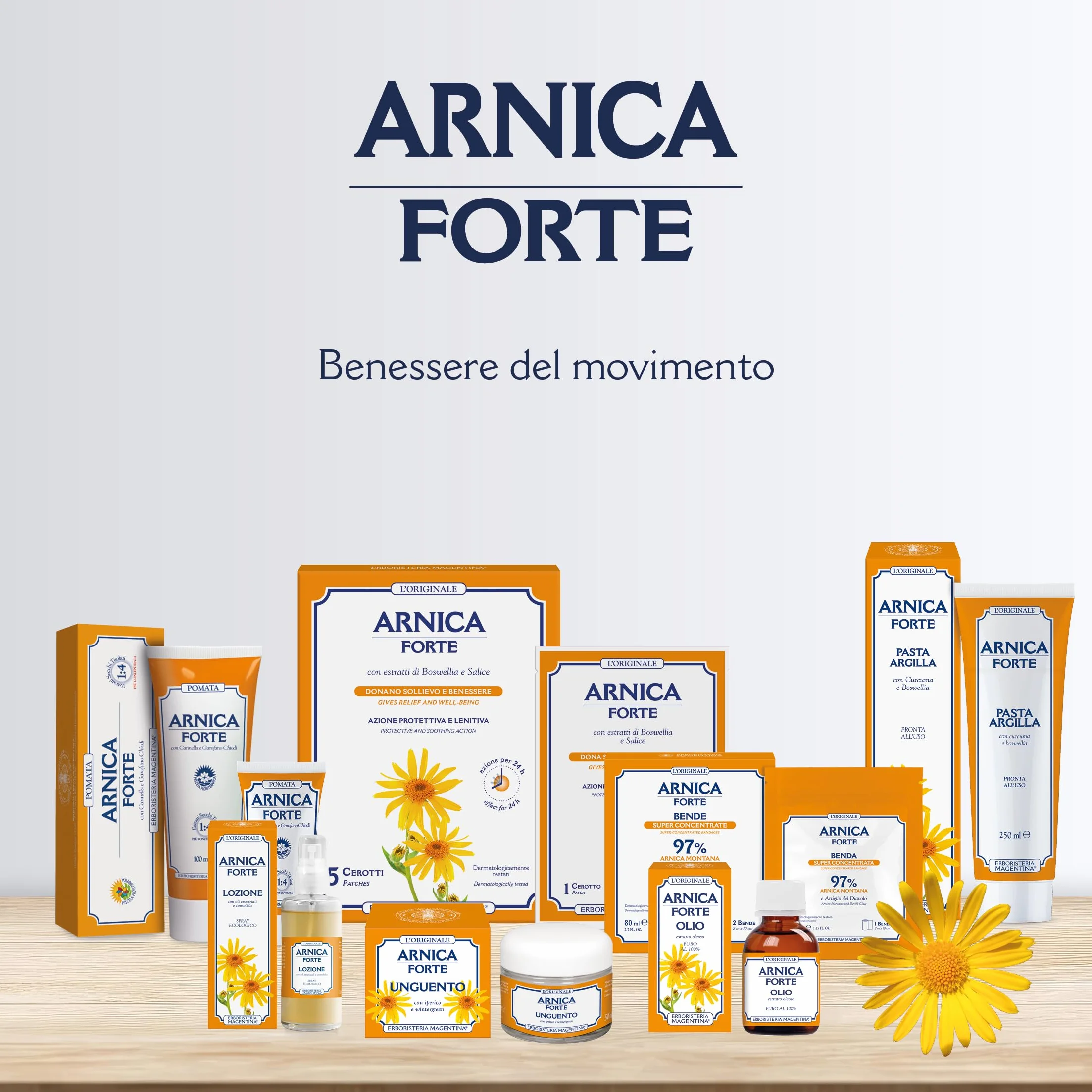 Erboristeria Magentina Arnica Forte 10 Cerotti Monouso - Cerotto Cosmetico 2 Confezioni da 5