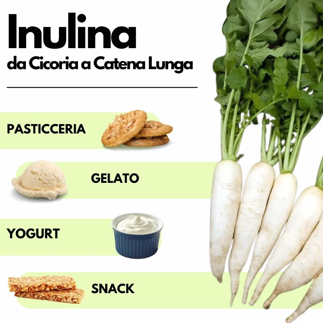 SaporePuro Inulina da cicoria 1 kg - Catena lunga - Fibra prebiotica da radici di cicoria