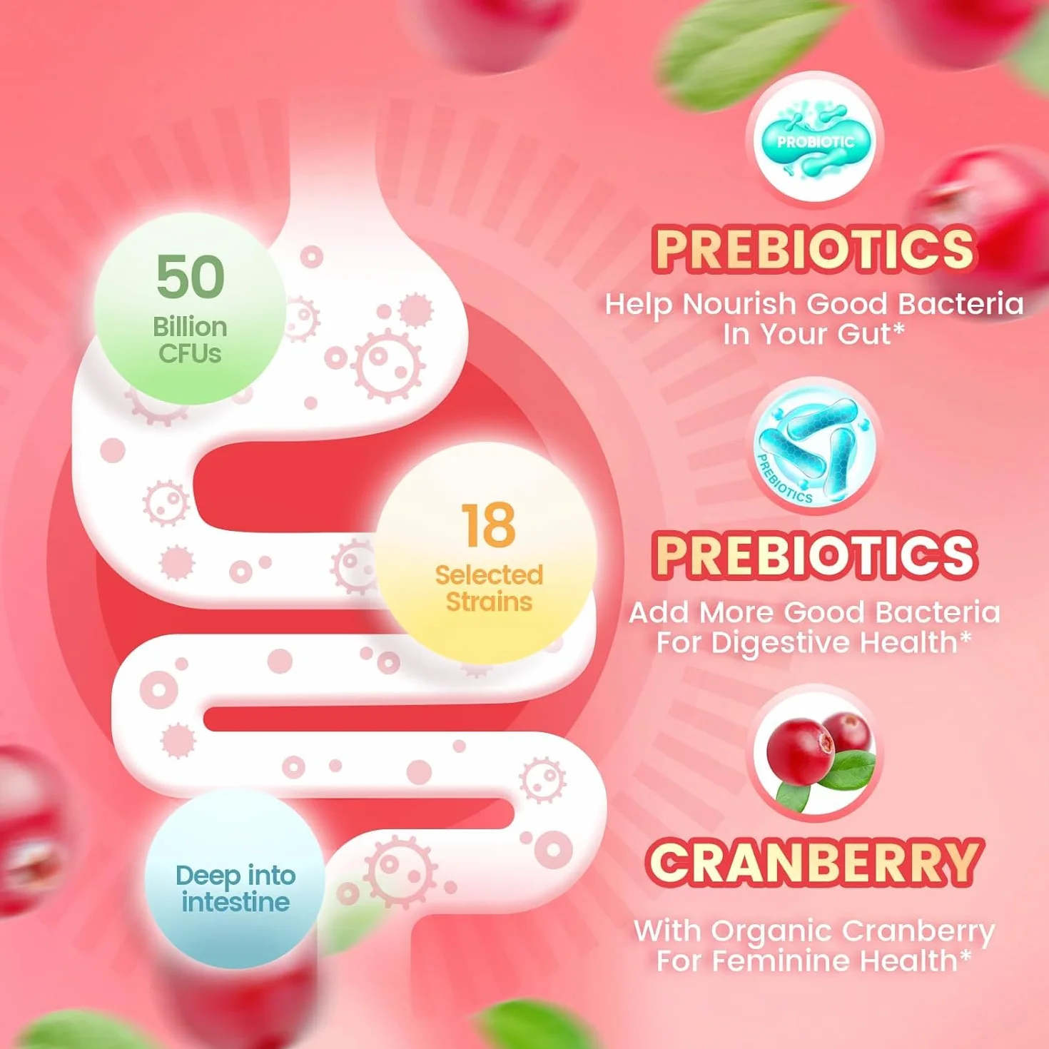 Probiotici vaginali per donne per odore corporeo e salute femminile – Vegano, Non OGM