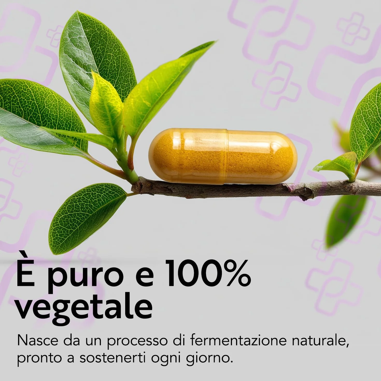 PiùLife Coenzima Q10 200mg 120 Capsule CoQ10 Ubiquinone Antiossidante Integratore Energia