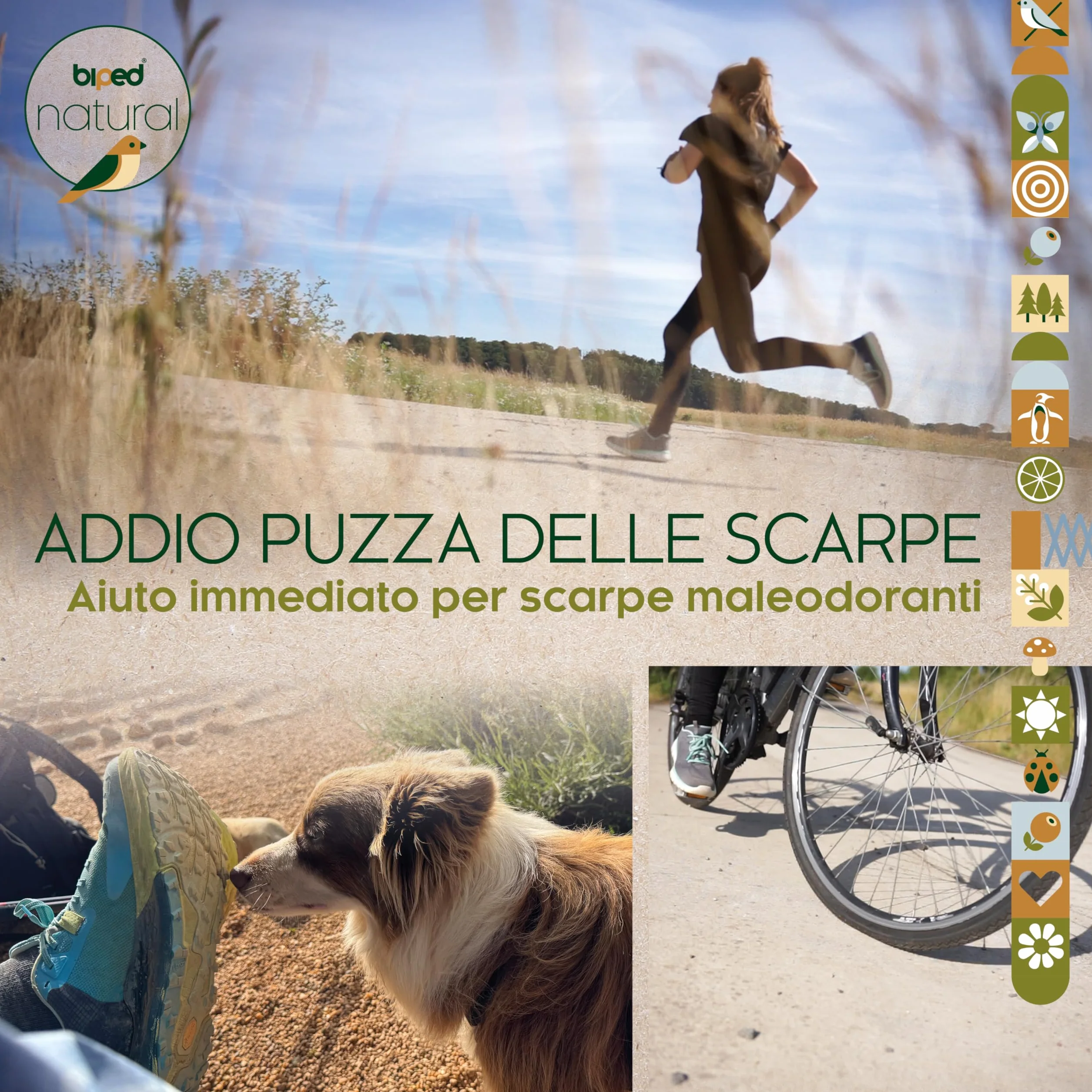 Cedro naturale asciuga scarpe in legno 1 paio cuscinetti deodoranti senza sostanze chimiche