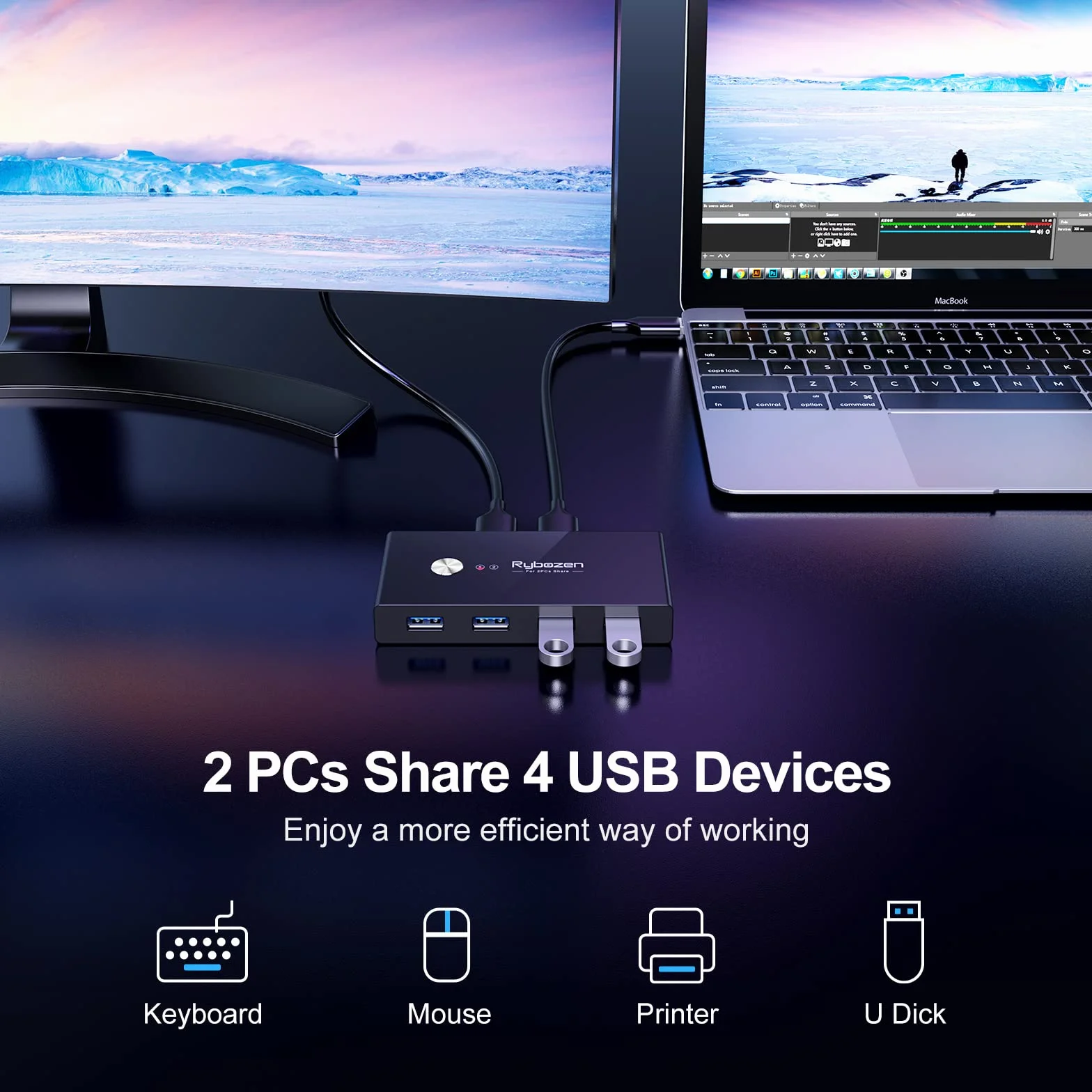 Switch USB 3.0 Selectore per 2 Computer, Switch USB per la Condivisione di 4 Dispositivi USB Hub periferico per Mouse, Tastiera, Scanner, Stampante; per Mac/Windows/Linux; 2 Cavi USB Inclusi
