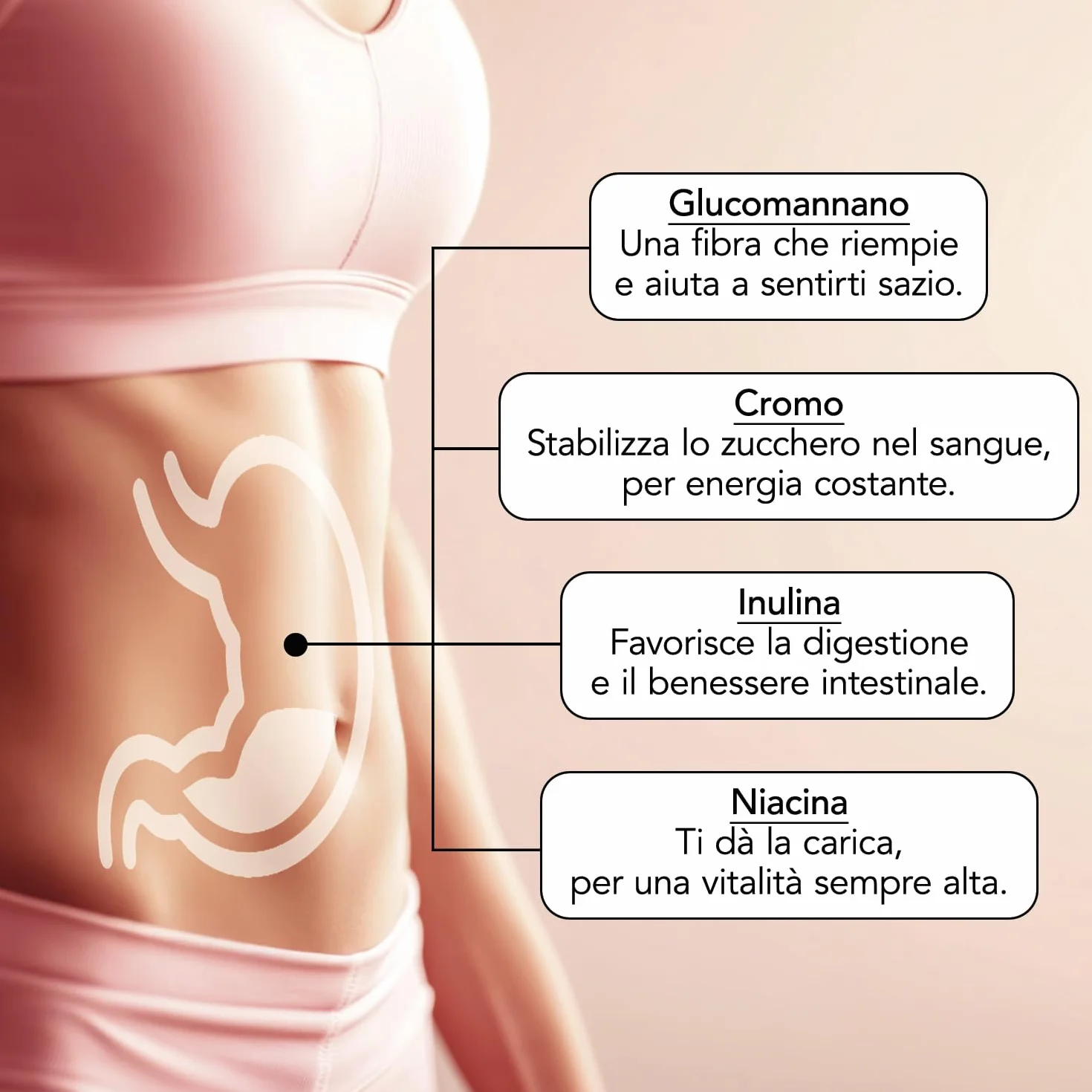 PiùLife Glucomannano Forte 240 Compresse 4000 mg 95% Tit. Con Inulina Niacina Cromo Metabolismo Appetito