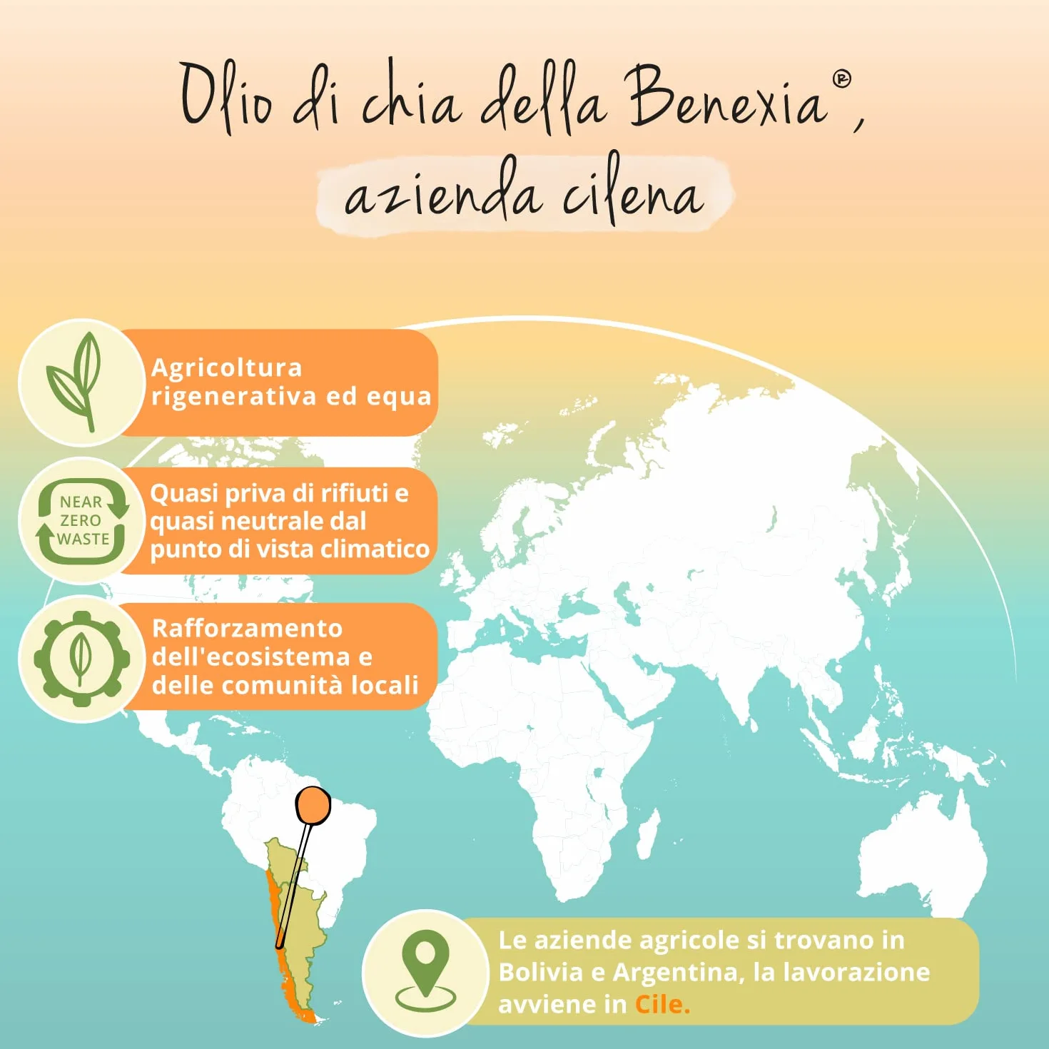 Omega 3 6 9 Vegavero® 1400 mg Olio di Semi di Chia BIO VEGAN Spremuto a Freddo Acidi Grassi Essenziali 120 capsule