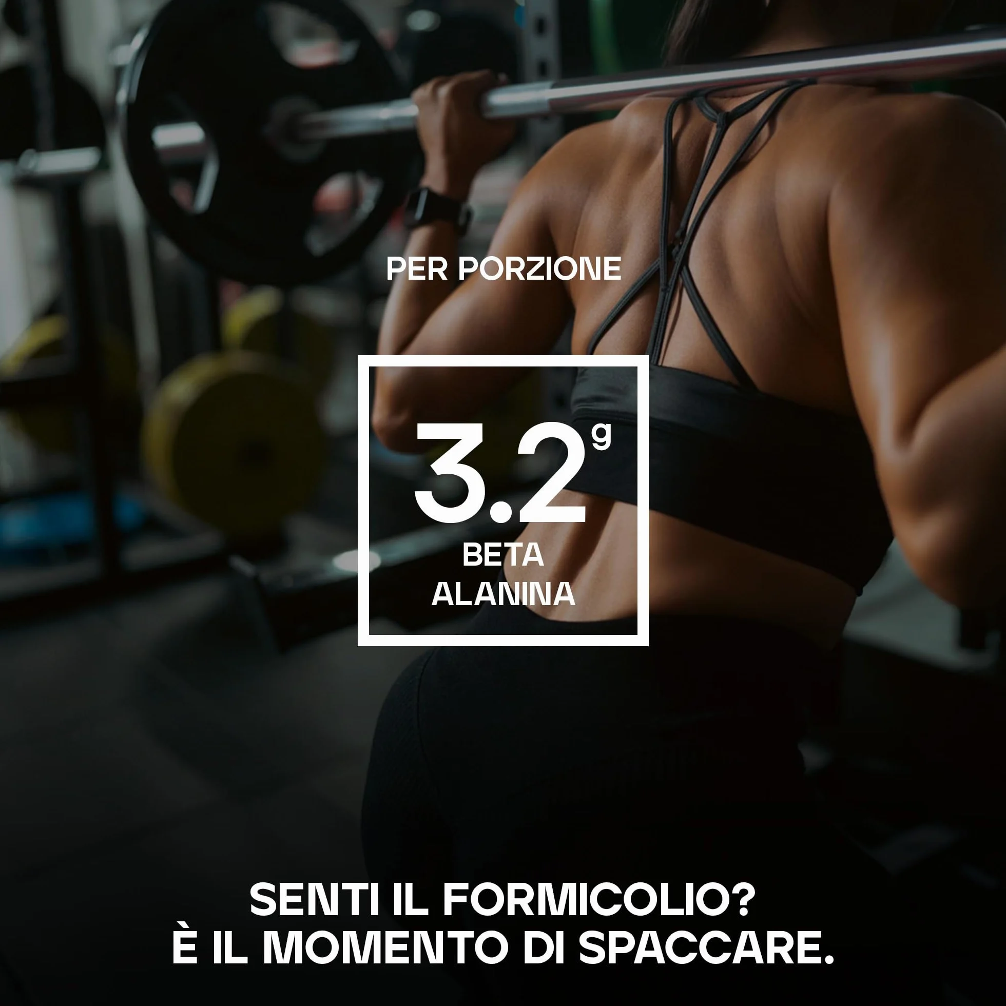 Frogola Lime Polvere Pre-Workout Dope 3g Creatina 200mg Caffeina Citrullina Arginina Beta-Alanina 510g