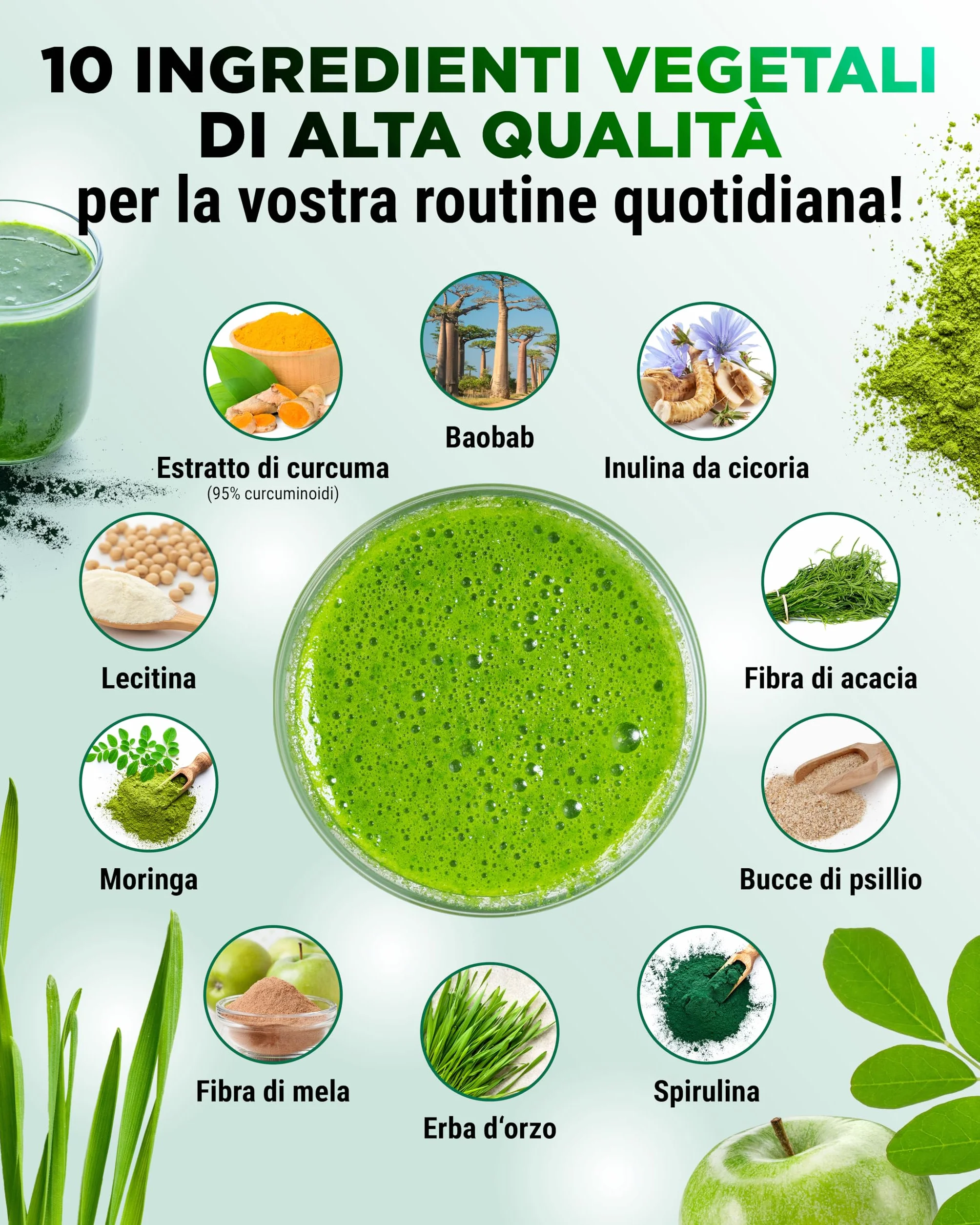 Daily Greens & Fibre Powder psillio spirulina moringa erba d'orzo inulina fibra di mela curcuma fibra di acacia lecitina 600 g Mela verde