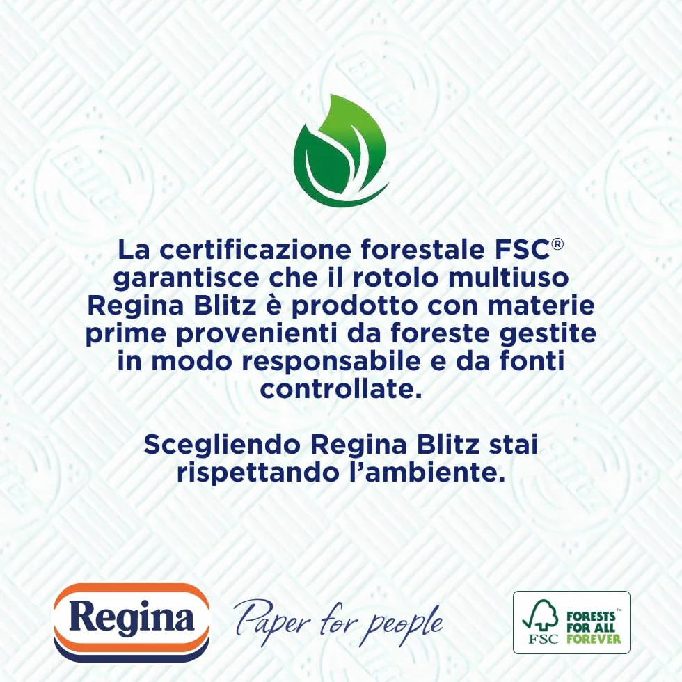 Regina Blitz Carta Casa 100 Maxi Fogli 3 Veli Carta Riciclabile FSC