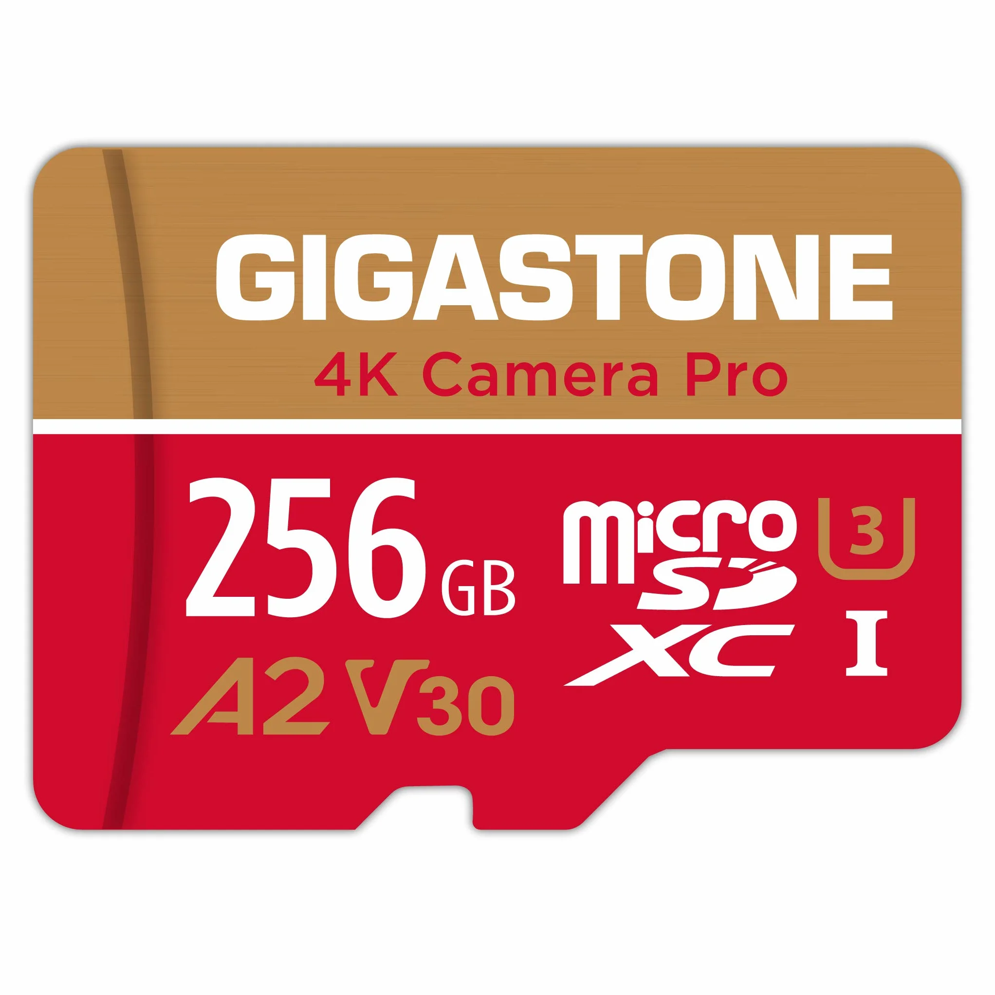 【Recupero dati gratuito per 5 anni】GIGASTONE 256 GB Scheda di Memoria, Camera Pro, Velocità fino a 100/60 MB/s, per Gopro, DJI, Insta360, 4K Video, A2 V30 U3 MicroSDXC con Adattatore