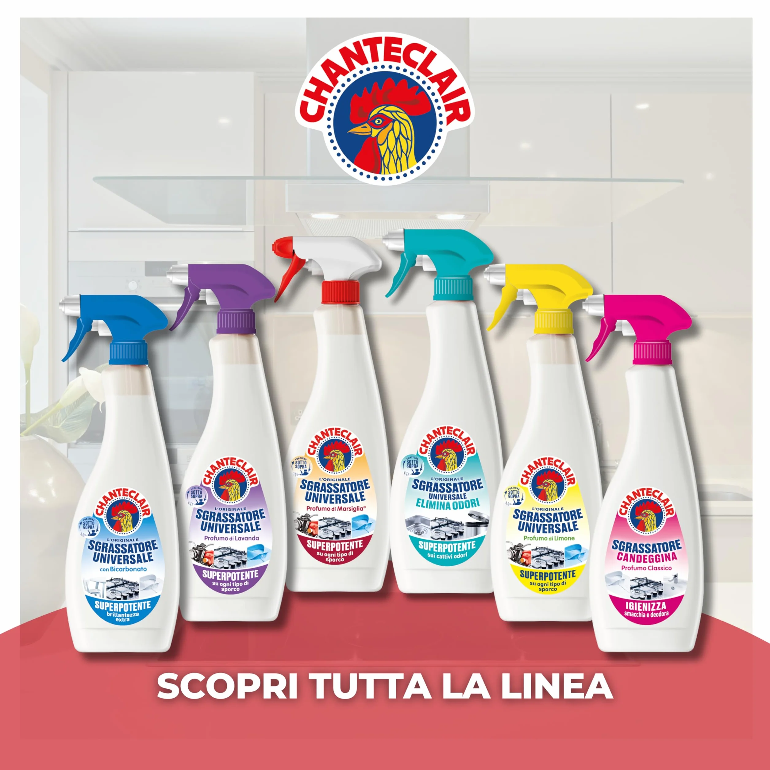 Chanteclair Sgrassatore Universale Profumo di Marsiglia Spray 12x750ml