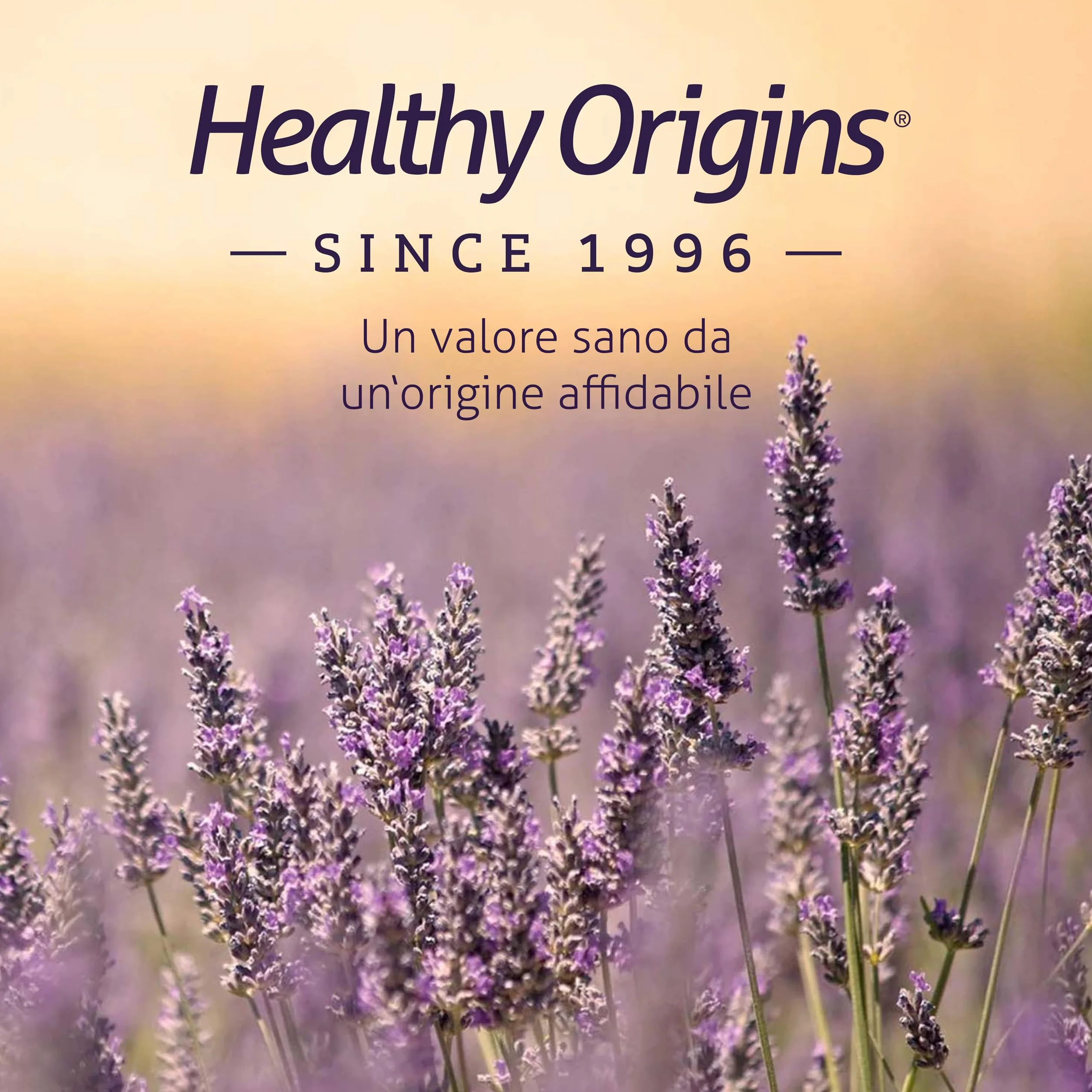 Healthy Origins Pycnogenol 100 mg 60 Capsule Vegane Pino Marino Senza Glutine