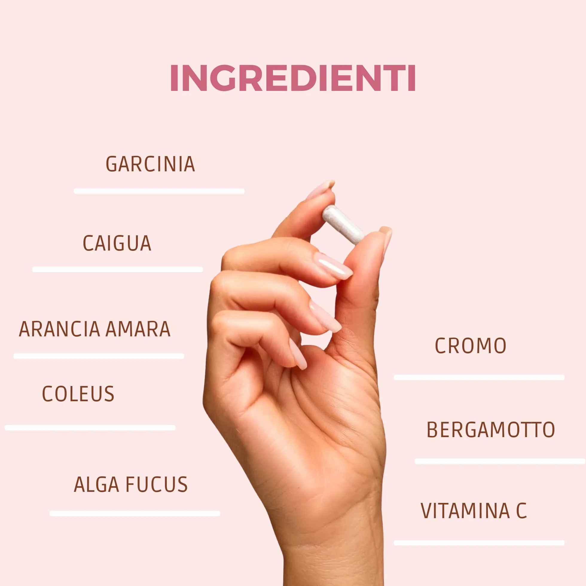 JEA Integratore Garcinia Cambogia, Caigua, Arancia Amara, Fucus e Coleus - Supporto Dieta e Attività Sportiva con Cromo e Vitamina C - 120 Compresse