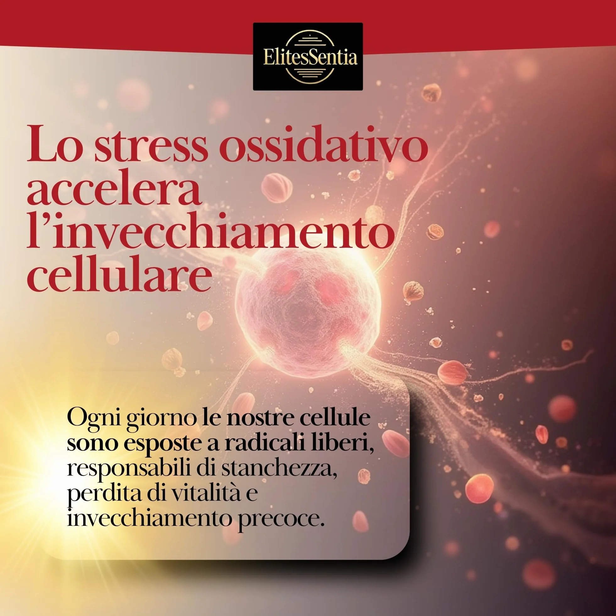 ElitesSentia Urolitina A Integratore 120 Compresse 2000 mg Melograno Juglans Regia Mirtillo Nero
