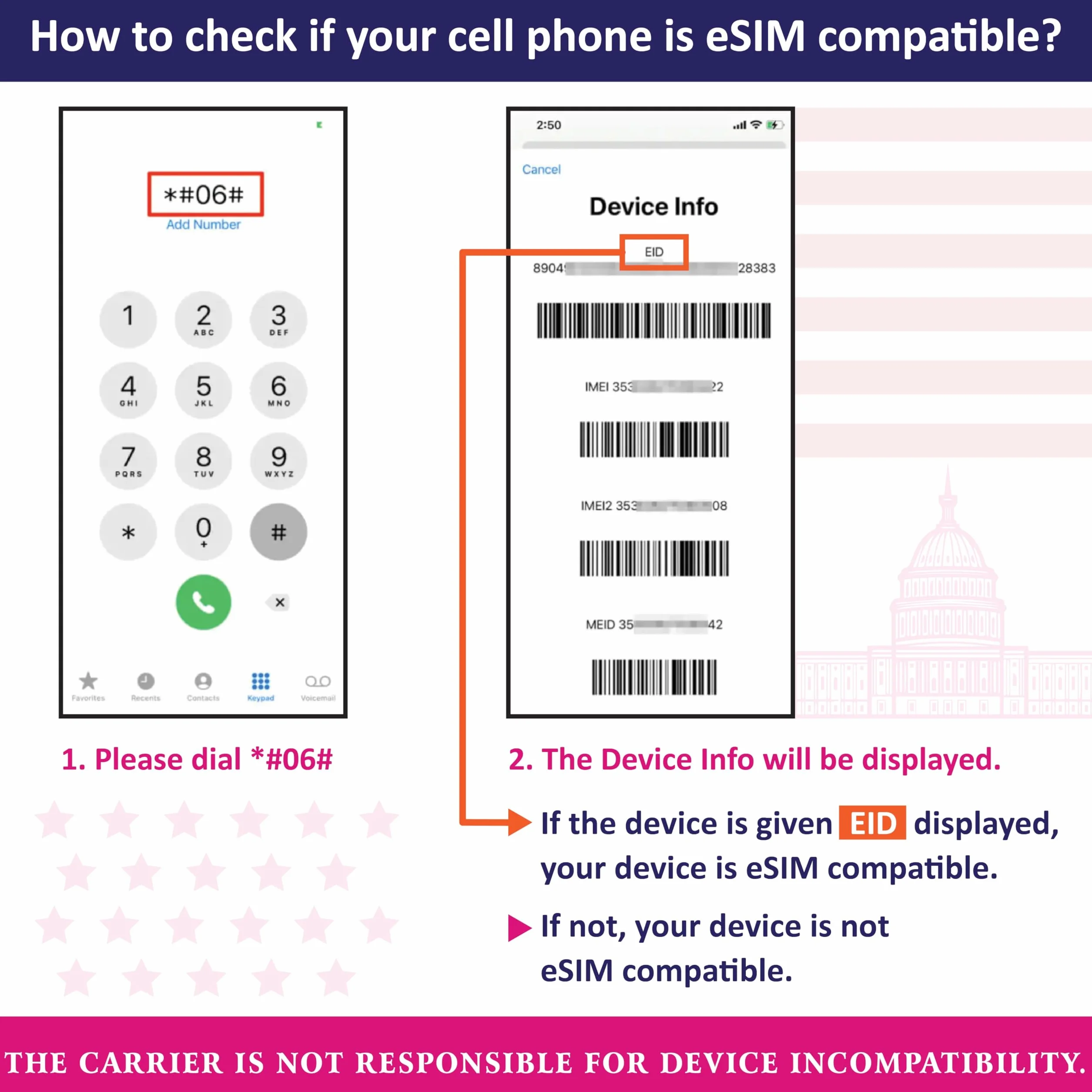 eSIM USA Prepagata T-Mobile Internet illimitato 5G 4G 12 giorni