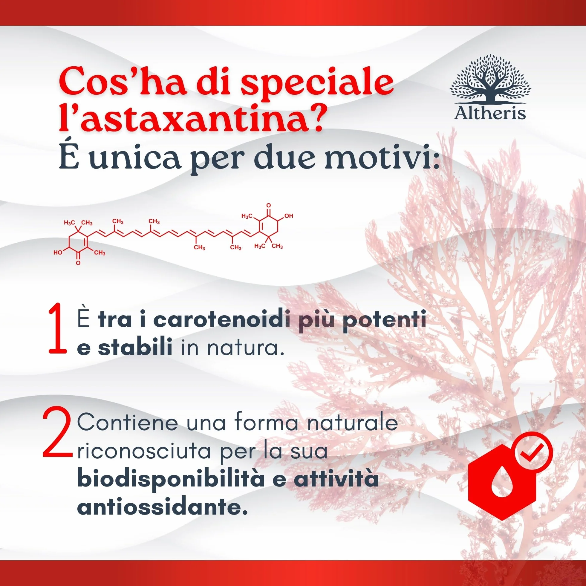 Astaxantina Pura Alto Dosaggio 18mg 270 Capsule Integratore Carotenoidi Naturali Alga Haematococcus Pluvialis