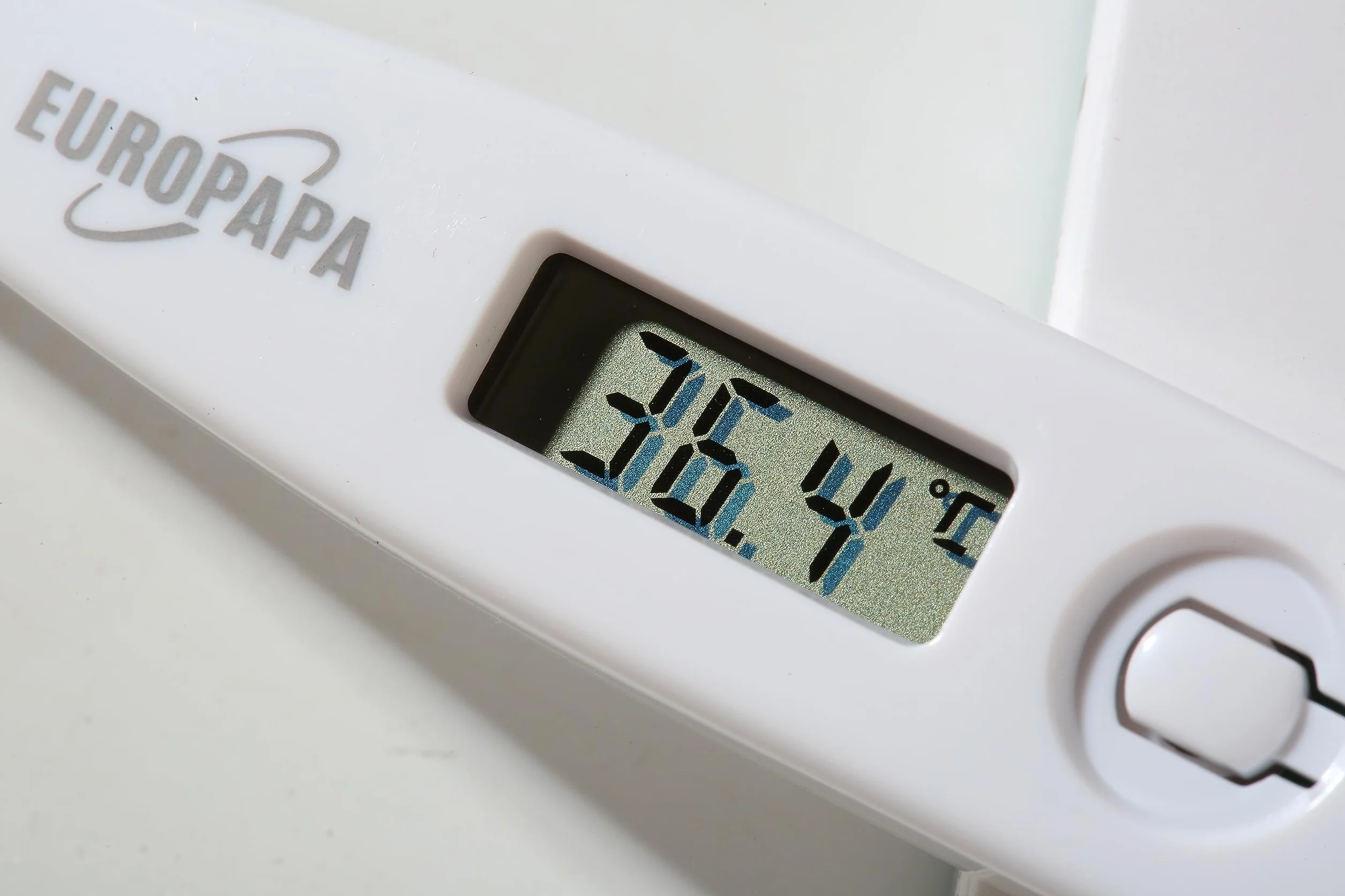 EUROPAPA Termometro Febbre Digitale Neonati Bambini Adulti Bocca Ascellare Rettale Impermeabile Allarme Febbre Viola