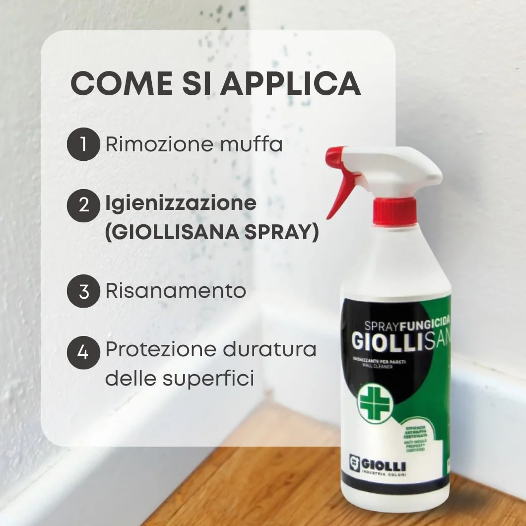 GIOLLI INDUSTRIA COLORI Giollisana Spray Antimuffa 750 ml - Rimuovi Muffa per Muri Interni ed Esterni