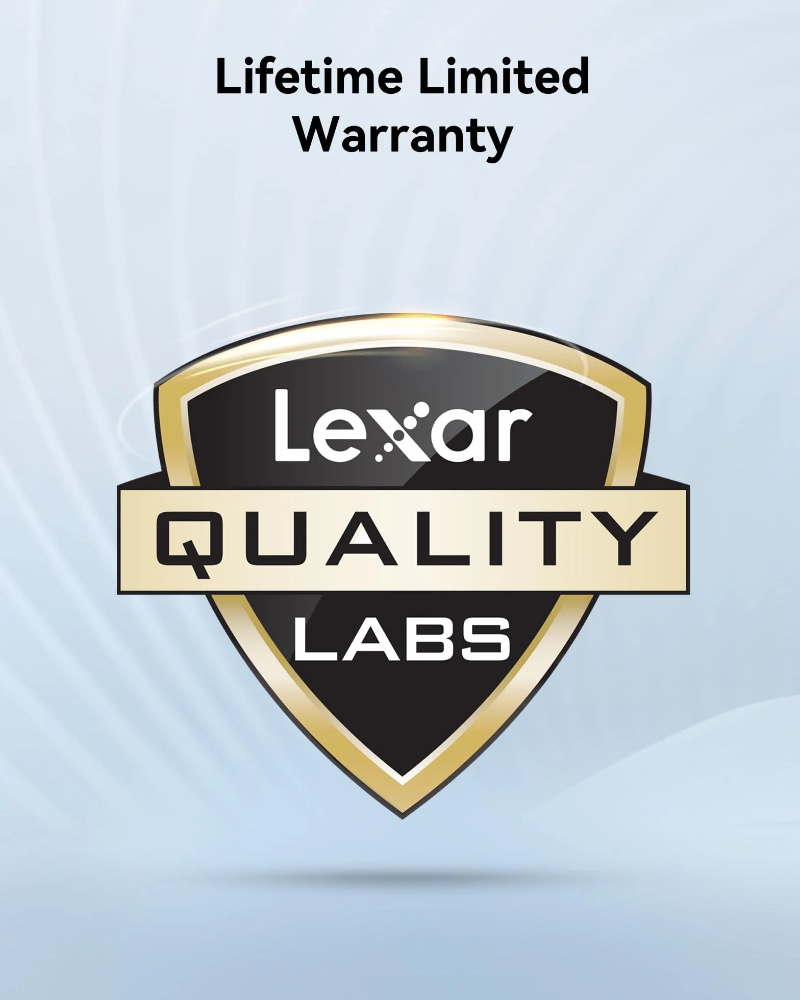 Lexar Silver Pro SD Scheda SD 128GB UHS-II V60 U3 C10 SDXC Fino a 280 MB/s di lettura