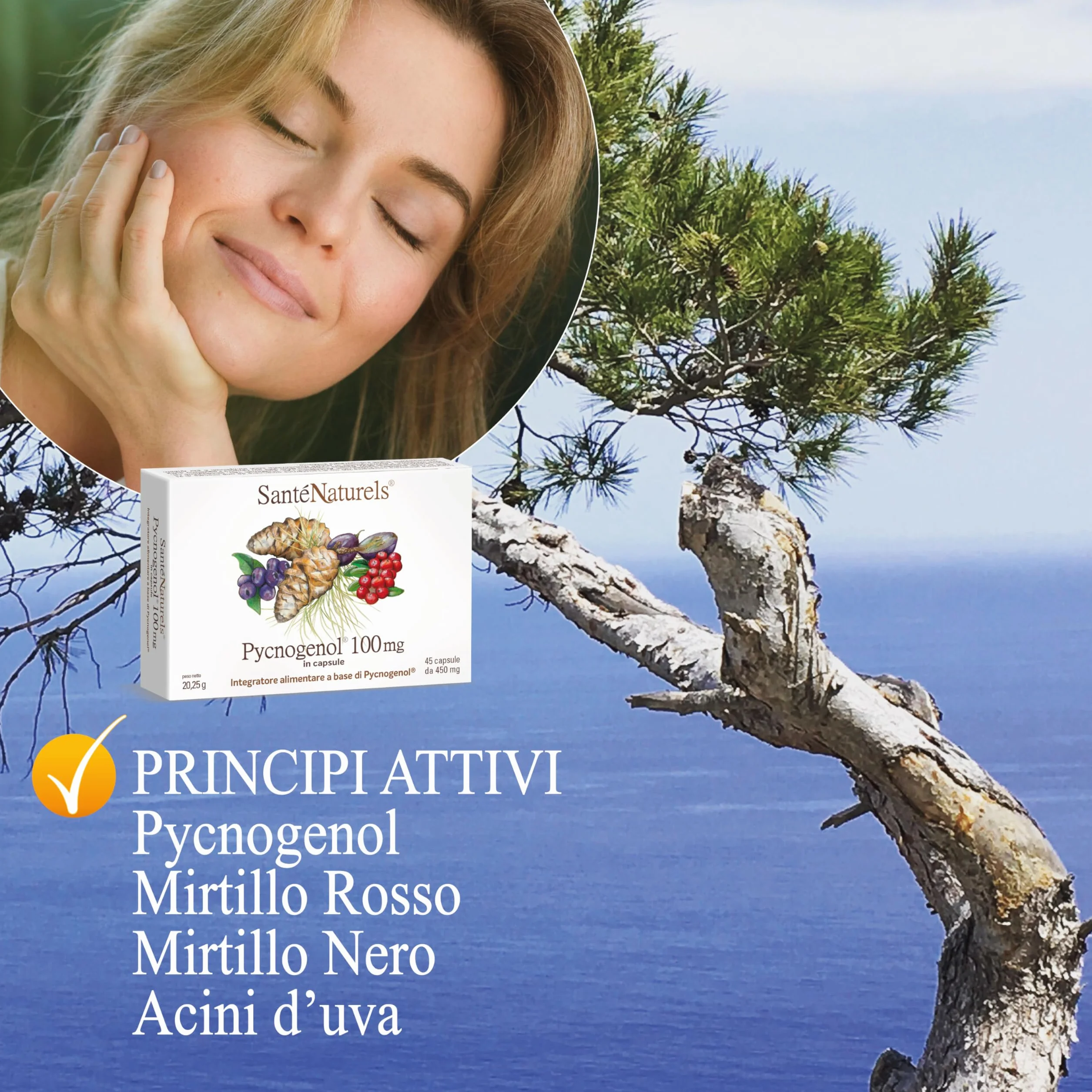 Pycnogenol 45 Capsule Vegetali Integratore con Zafferano, Mirtillo Rosso e Mirtillo Nero Brevettato Horphag