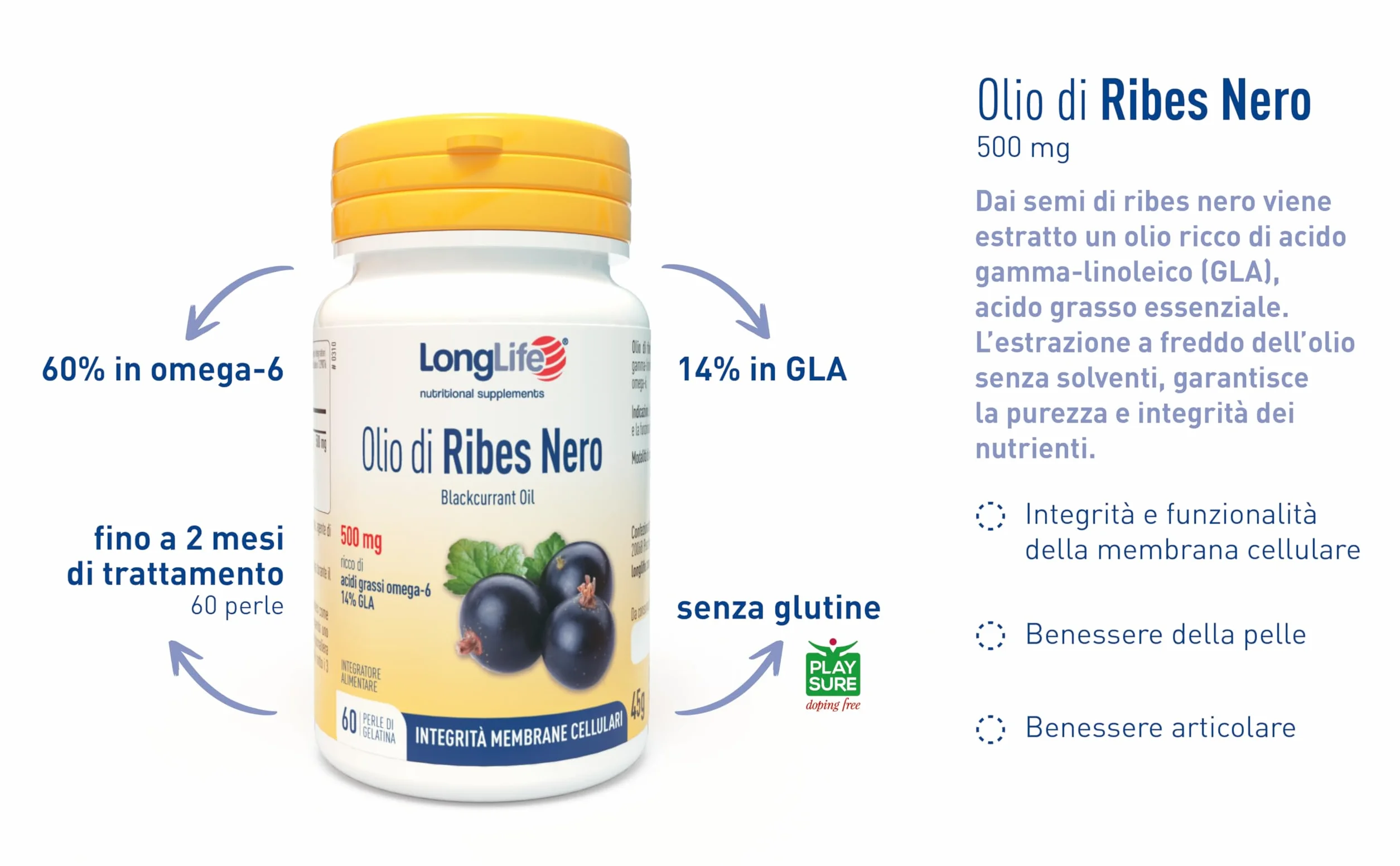 LongLife Olio di Ribes Nero Integratore ricco di omega-6 14% GLA 2 mesi Senza glutine