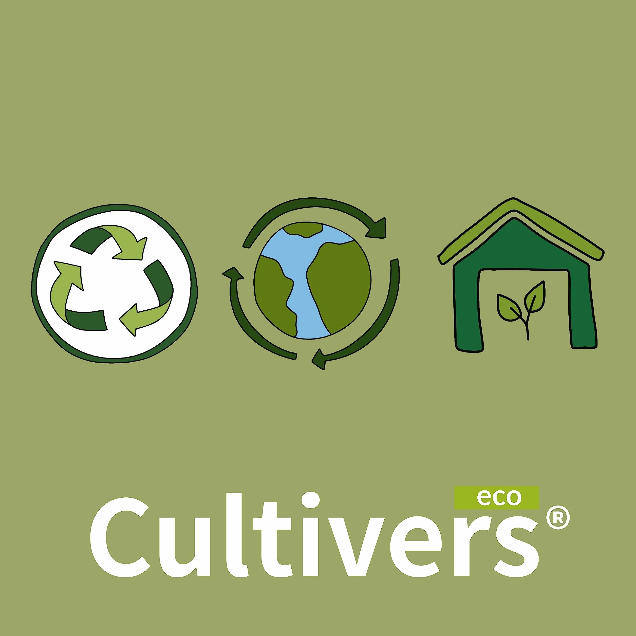 CULTIVERS Acido citrico anidro 100% puro 1 kg Detergente multiuso ecologico correttore di pH