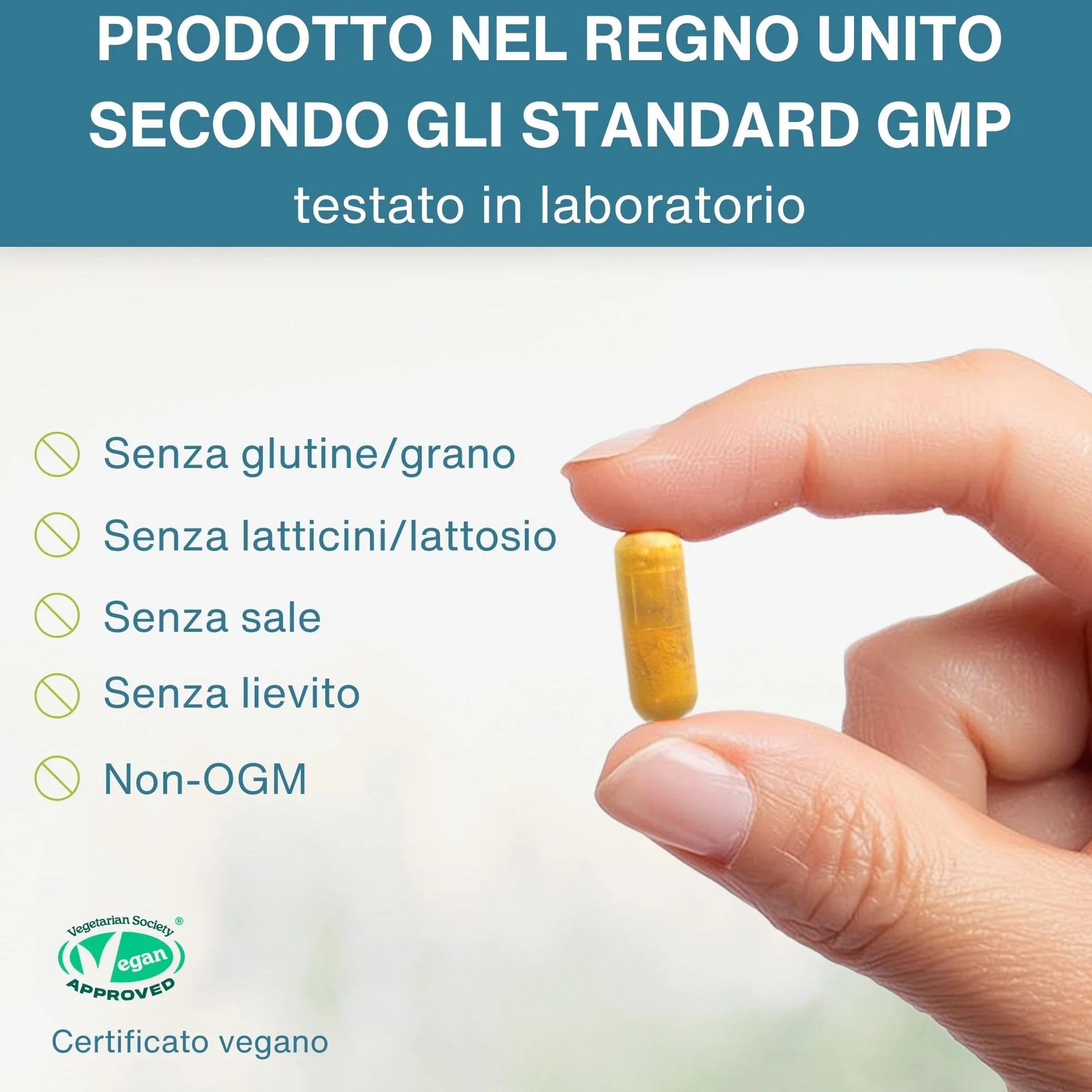 Longvida Curcumina 500mg, 30 Capsule Vegane, Supporto per Cervello, Mood e Articolazioni