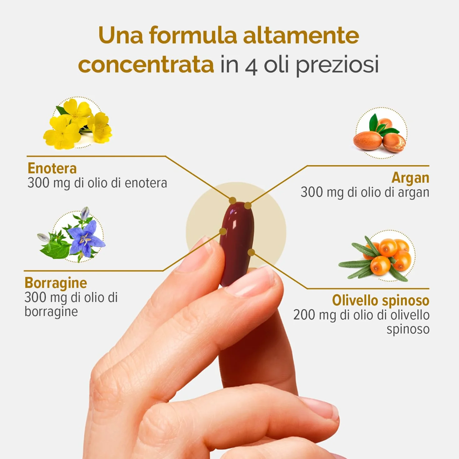 Laboratoire THERASCIENCE DERMASSENTIEL NUTRIDERM 30 kapsułek Argan Onagra Borragine Olivello Omega 3,6,7,9 Coenzima Q10 Vitamina E