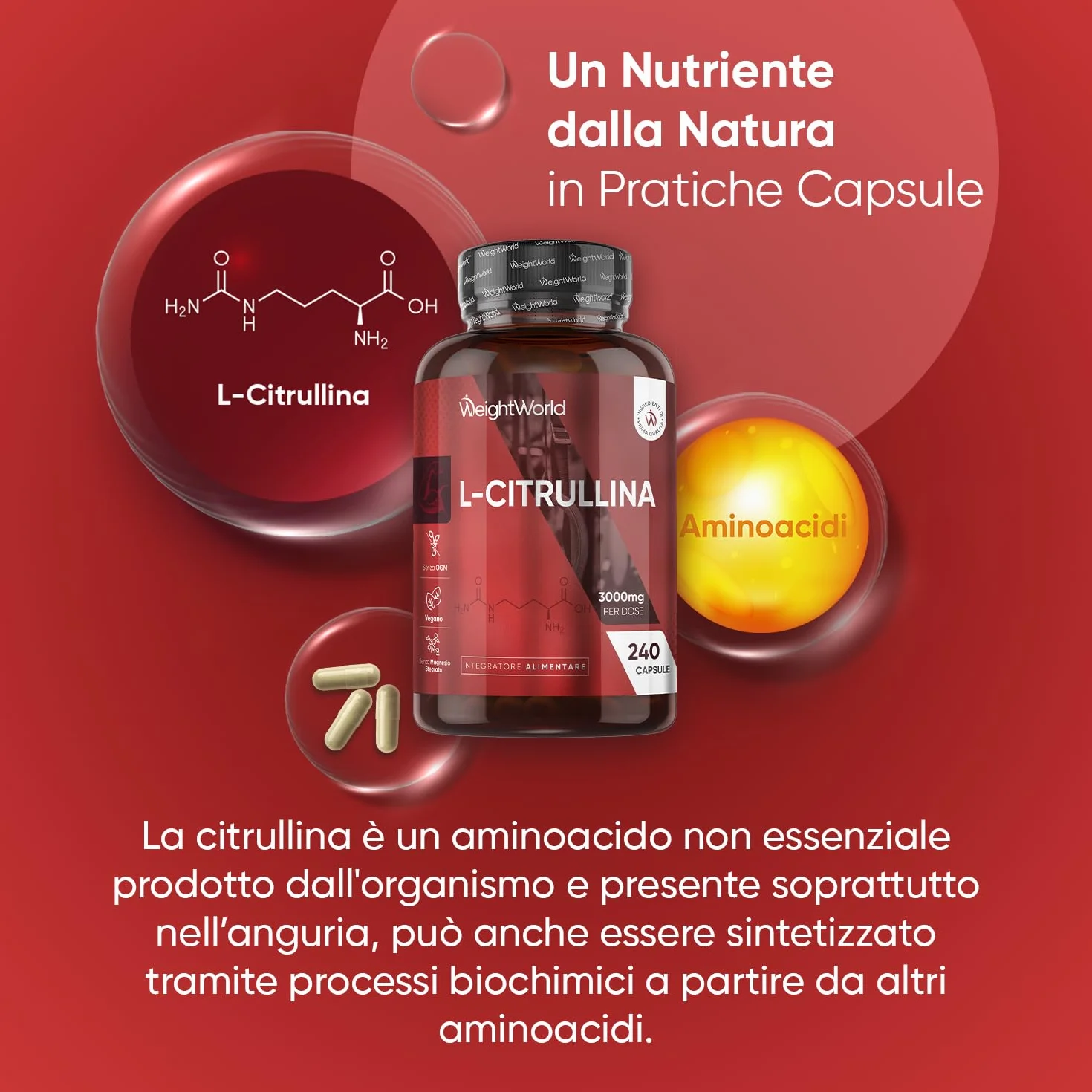 L-Citrullina Vegana 240 Capsule 3000mg Integratore Pre Workout Post Workout